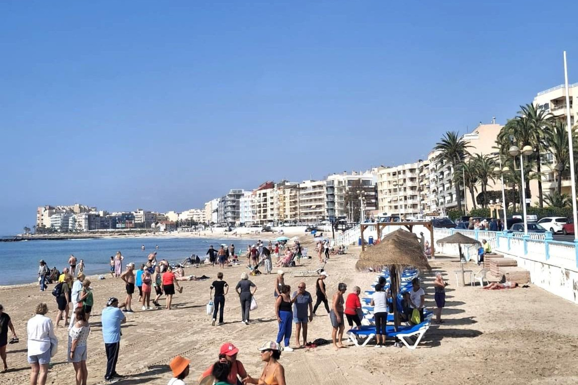 Odsprzedaż - Mieszkanie w bloku - Torrevieja - Centro