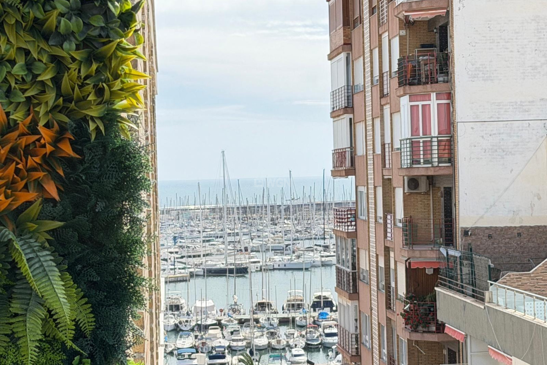 Odsprzedaż - Mieszkanie w bloku - Torrevieja - Centro