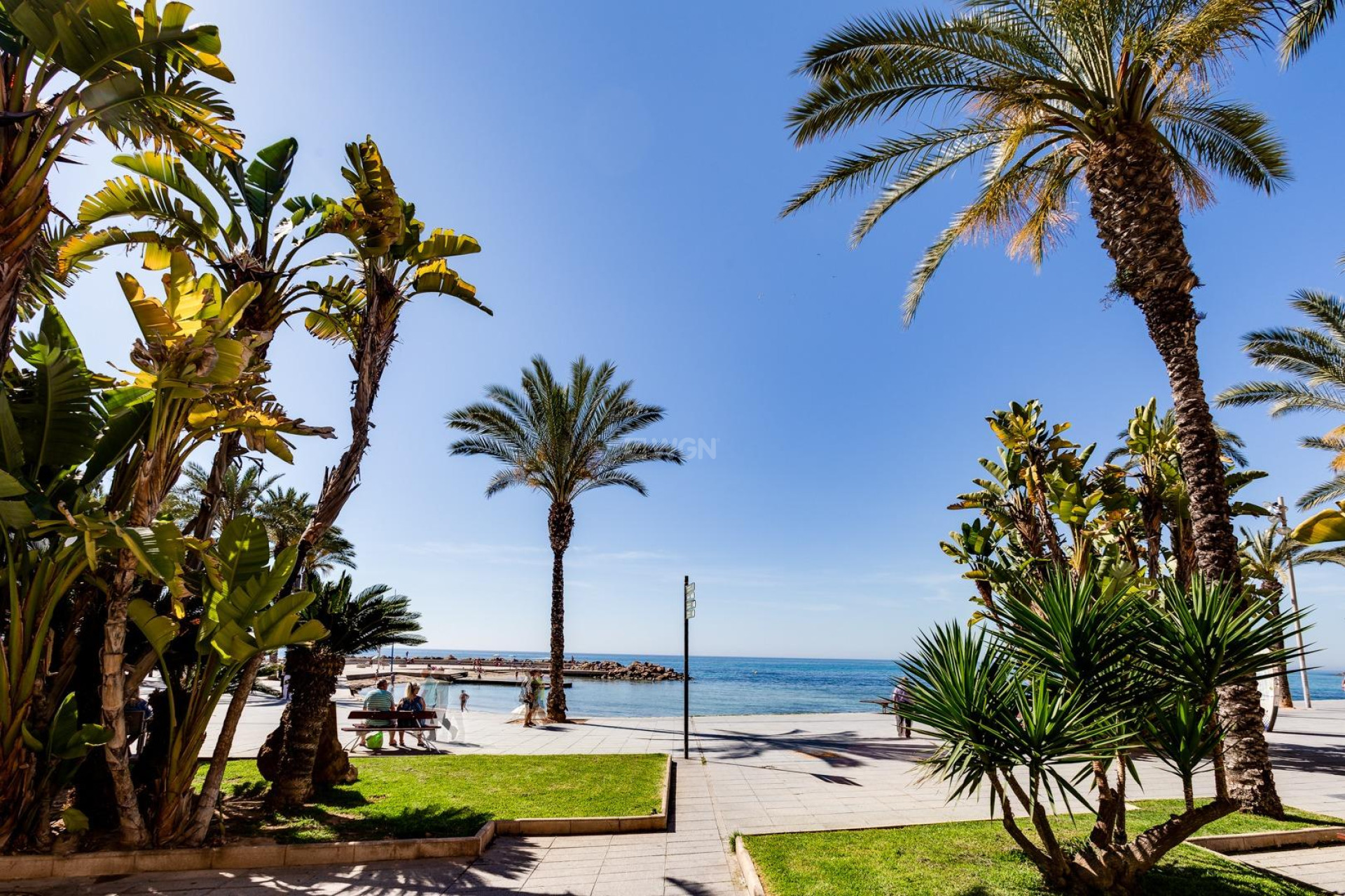 Odsprzedaż - Mieszkanie w bloku - Torrevieja - Centro