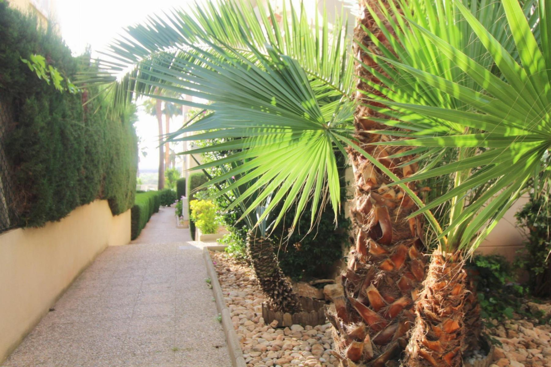 Odsprzedaż - Mieszkanie w bloku - Torrevieja - Costa Blanca