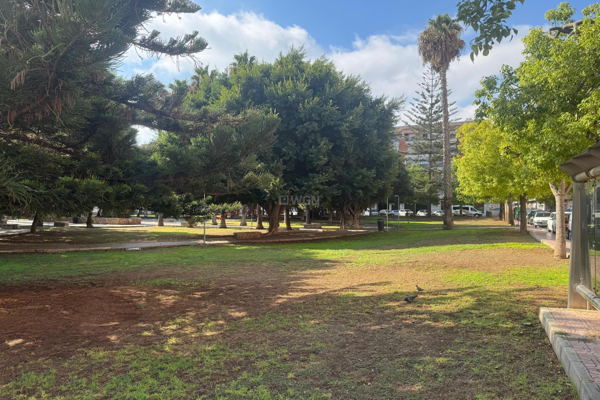 Odsprzedaż - Mieszkanie w bloku - Torrevieja - Costa Blanca