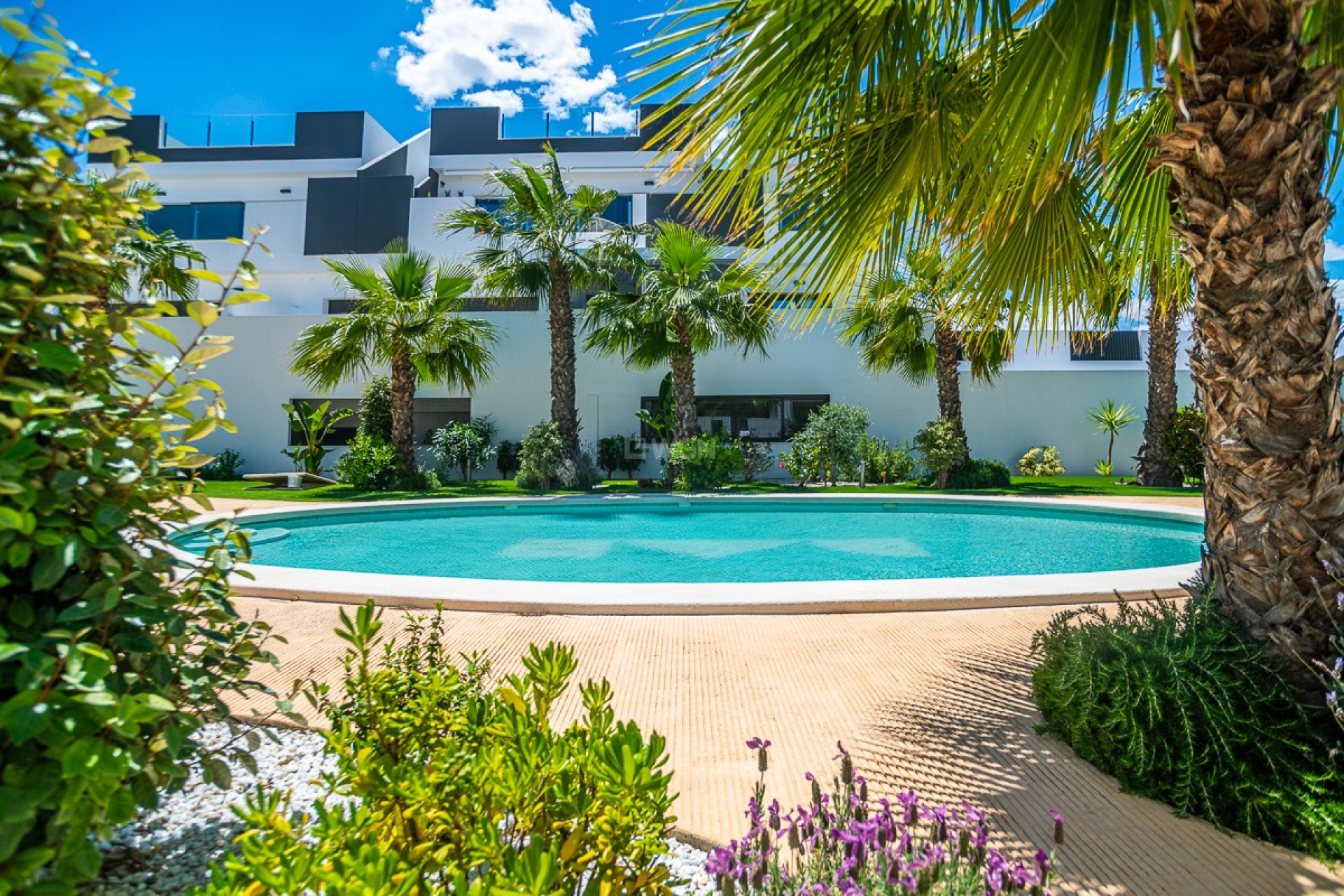 Odsprzedaż - Mieszkanie w bloku - Torrevieja - Costa Blanca