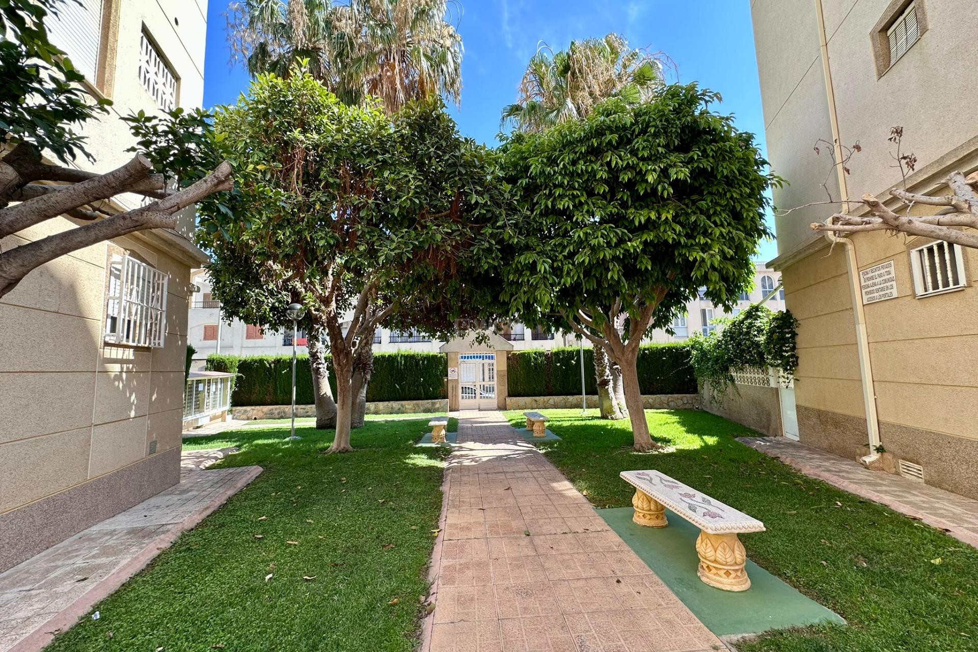 Odsprzedaż - Mieszkanie w bloku - Torrevieja - Habaneras
