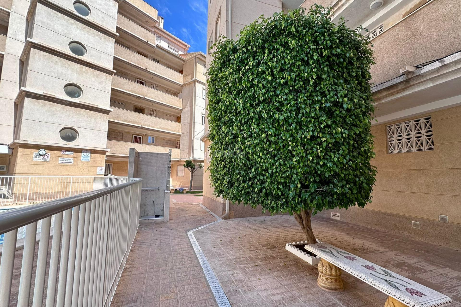 Odsprzedaż - Mieszkanie w bloku - Torrevieja - Habaneras