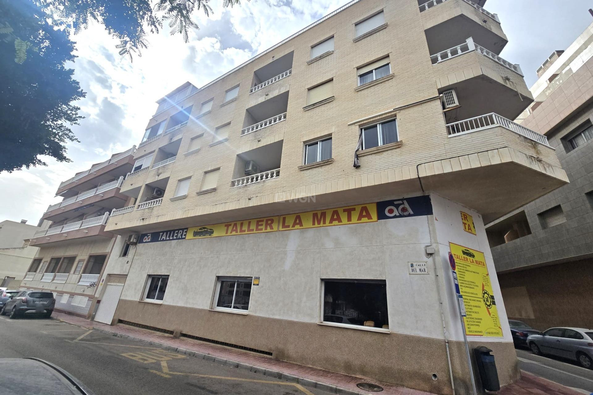 Odsprzedaż - Mieszkanie w bloku - Torrevieja - La Mata Pueblo