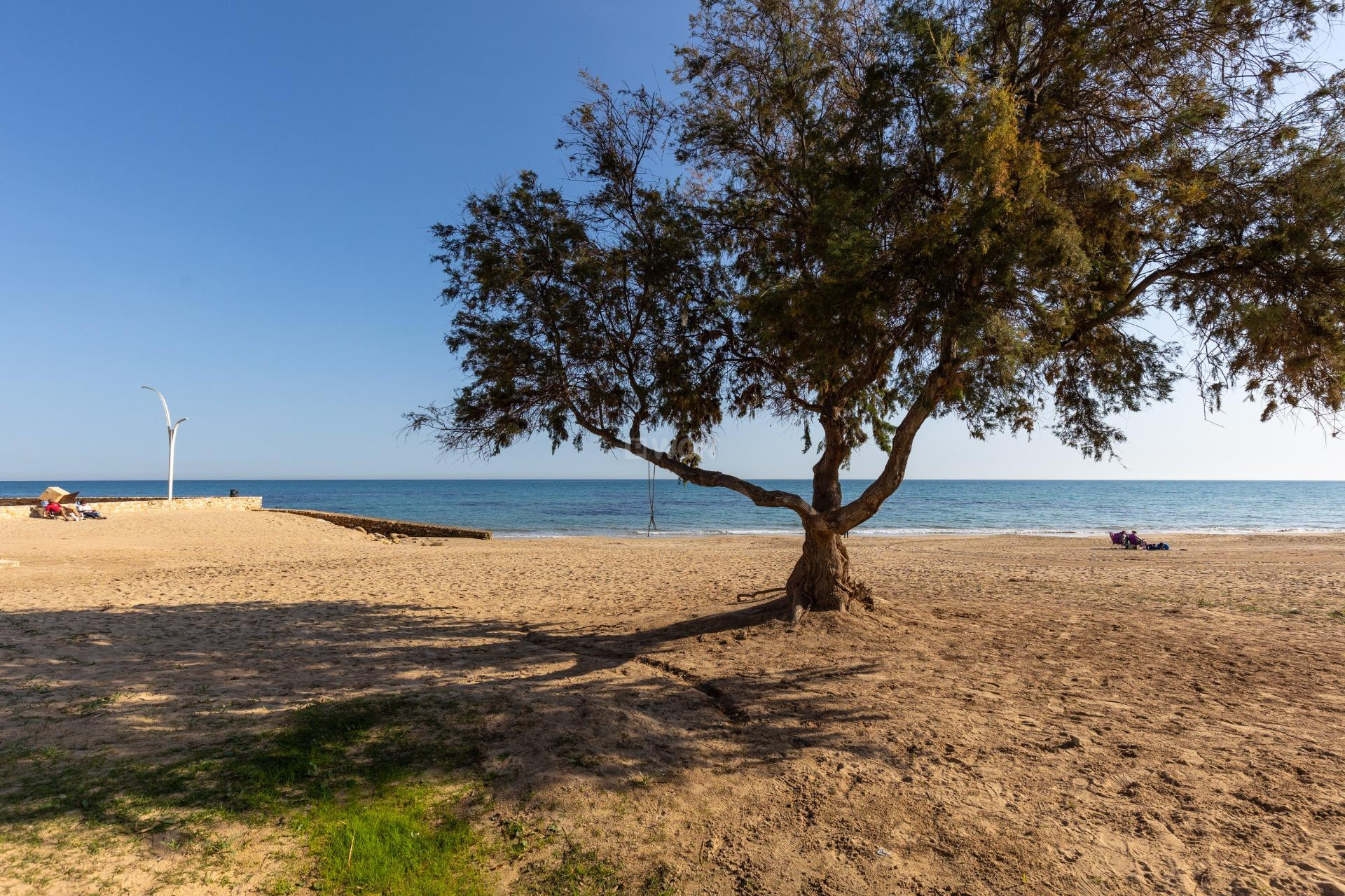 Odsprzedaż - Mieszkanie w bloku - Torrevieja - La Mata Pueblo