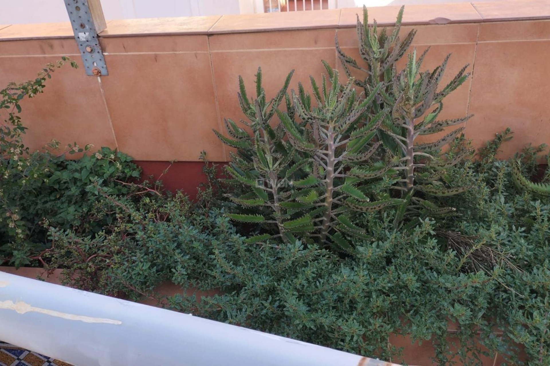 Odsprzedaż - Mieszkanie w bloku - Torrevieja - La Mata