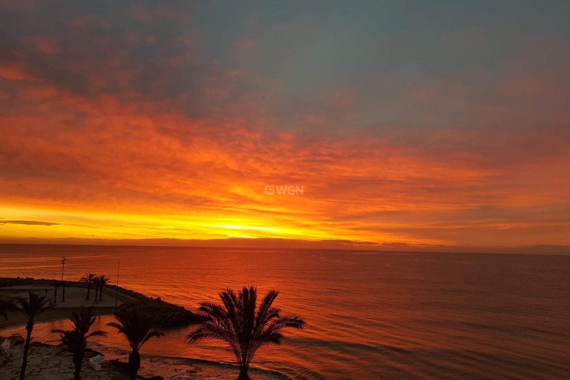 Odsprzedaż - Mieszkanie w bloku - Torrevieja - Las Piscinas Naturales