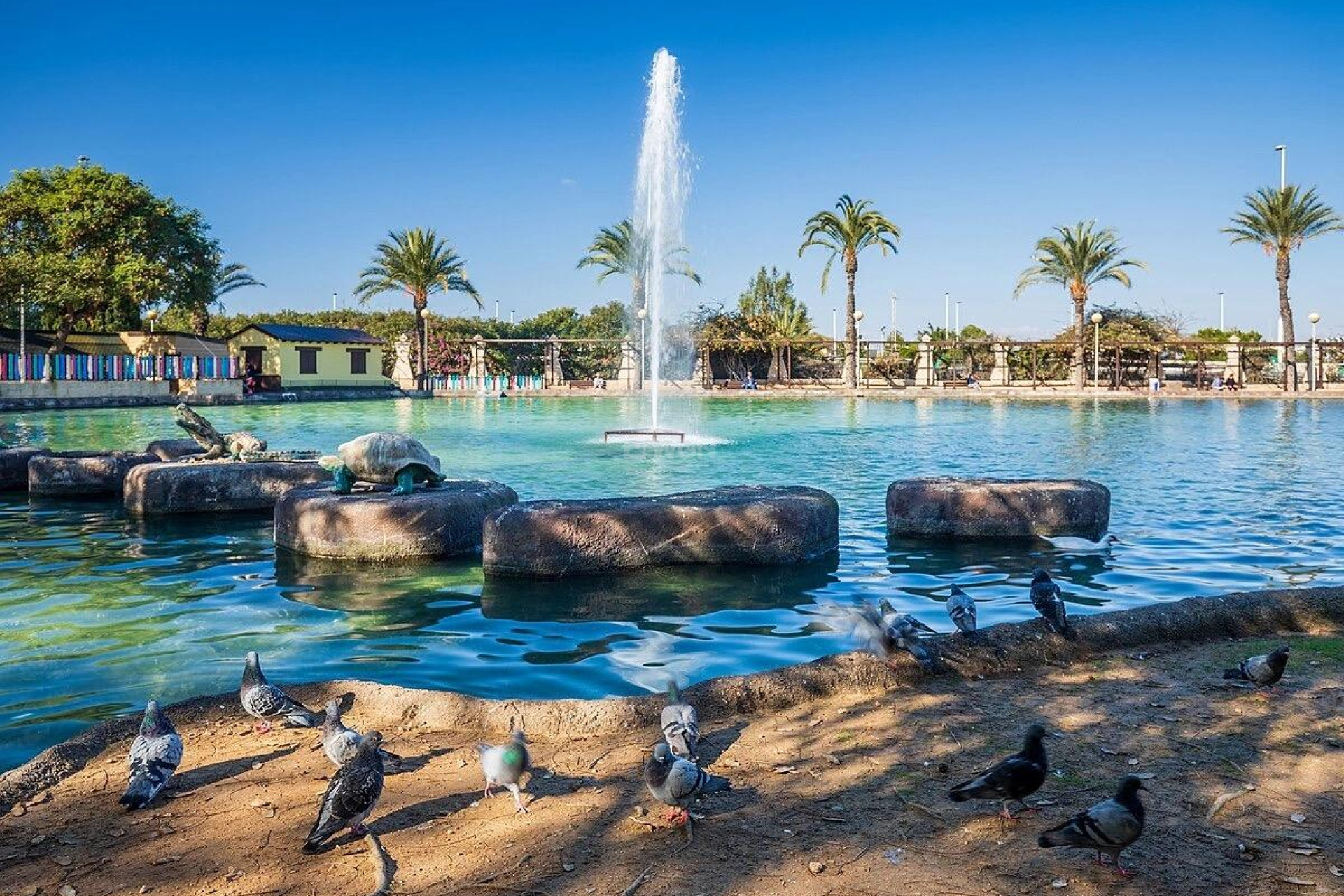 Odsprzedaż - Mieszkanie w bloku - Torrevieja - Parque Las Naciones