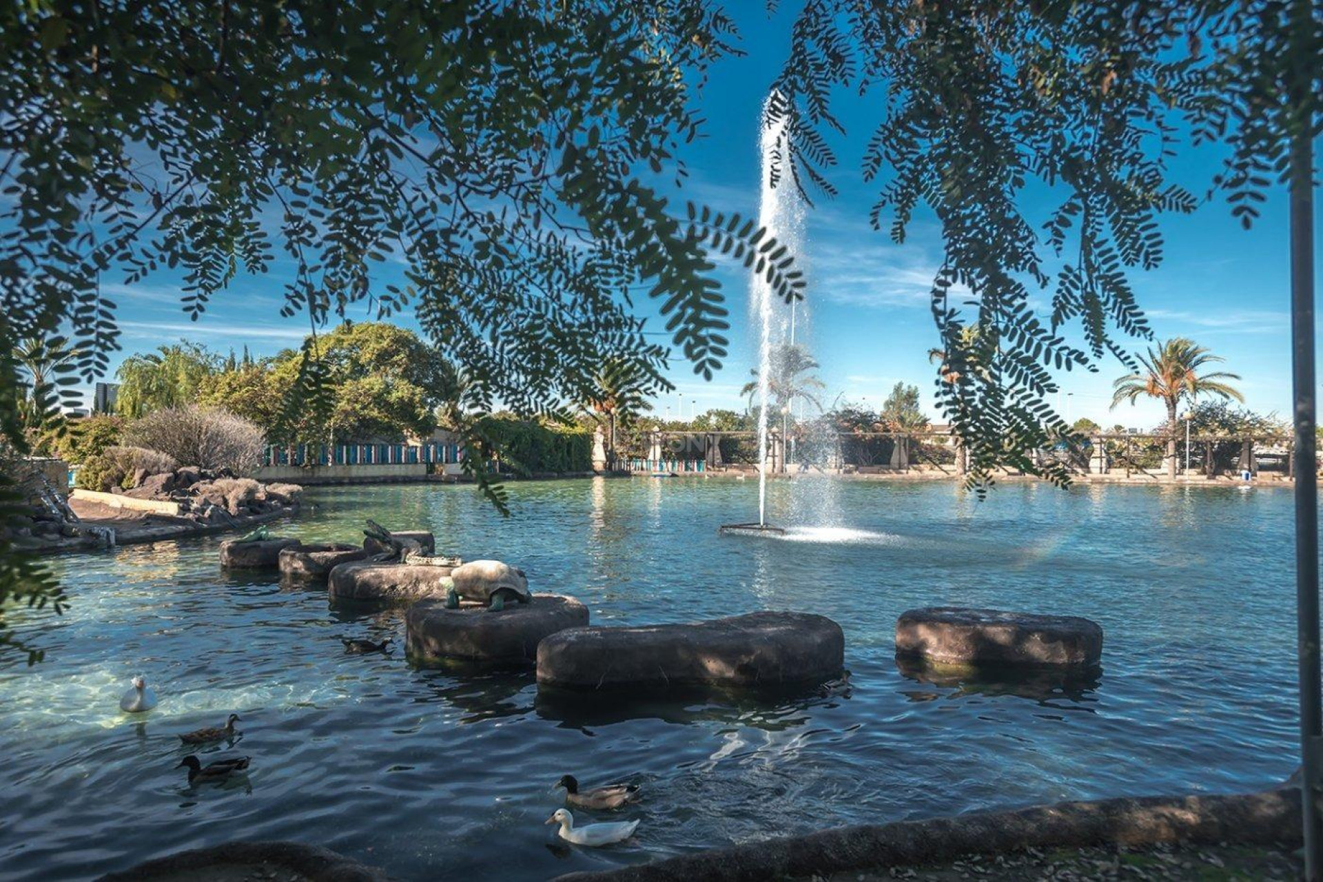 Odsprzedaż - Mieszkanie w bloku - Torrevieja - Parque Las Naciones