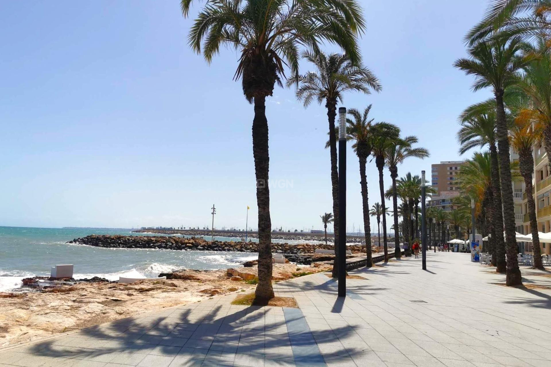 Odsprzedaż - Mieszkanie w bloku - Torrevieja - Paseo Maritimo