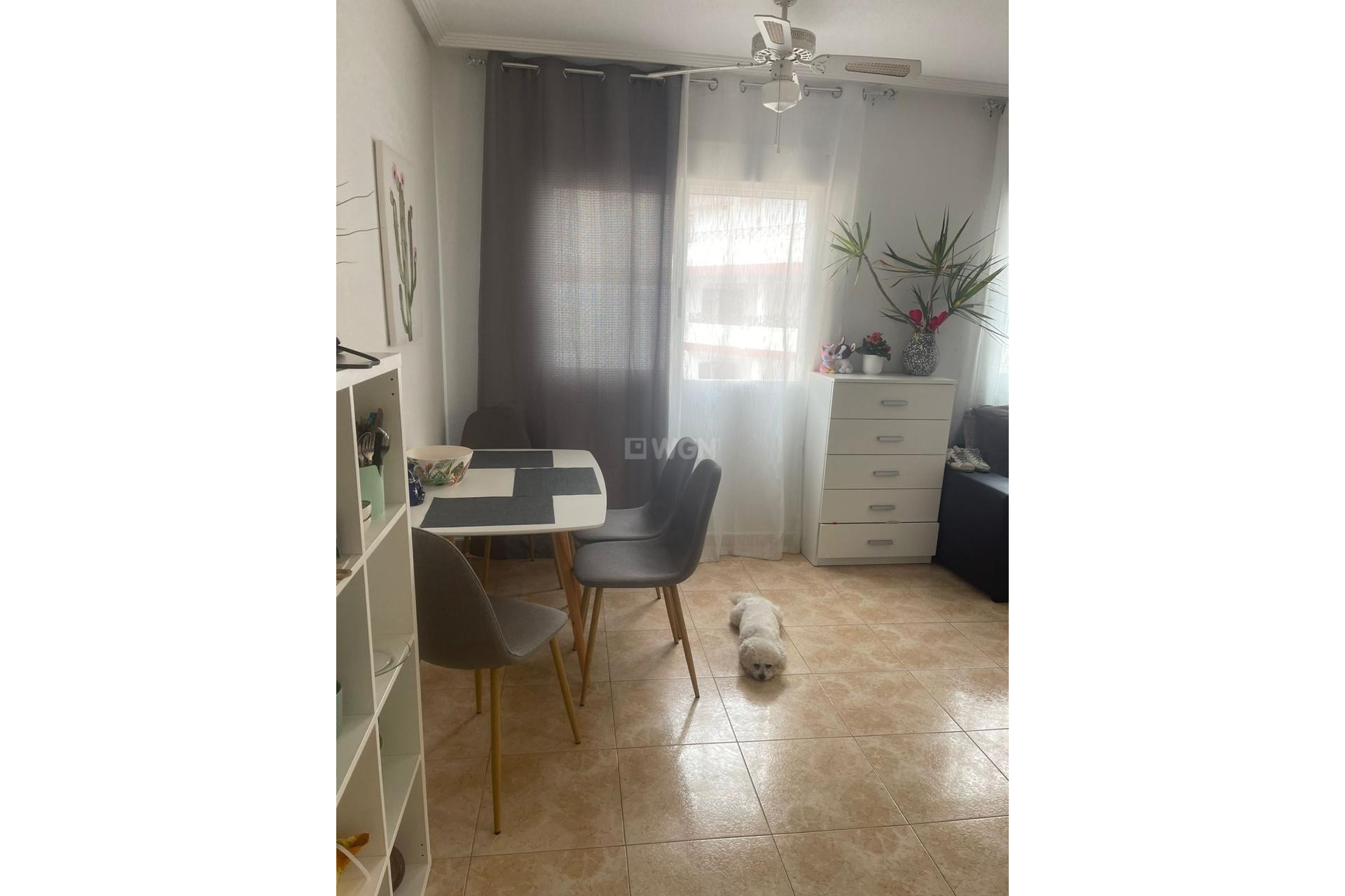 Odsprzedaż - Mieszkanie w bloku - Torrevieja - Playa de los Locos