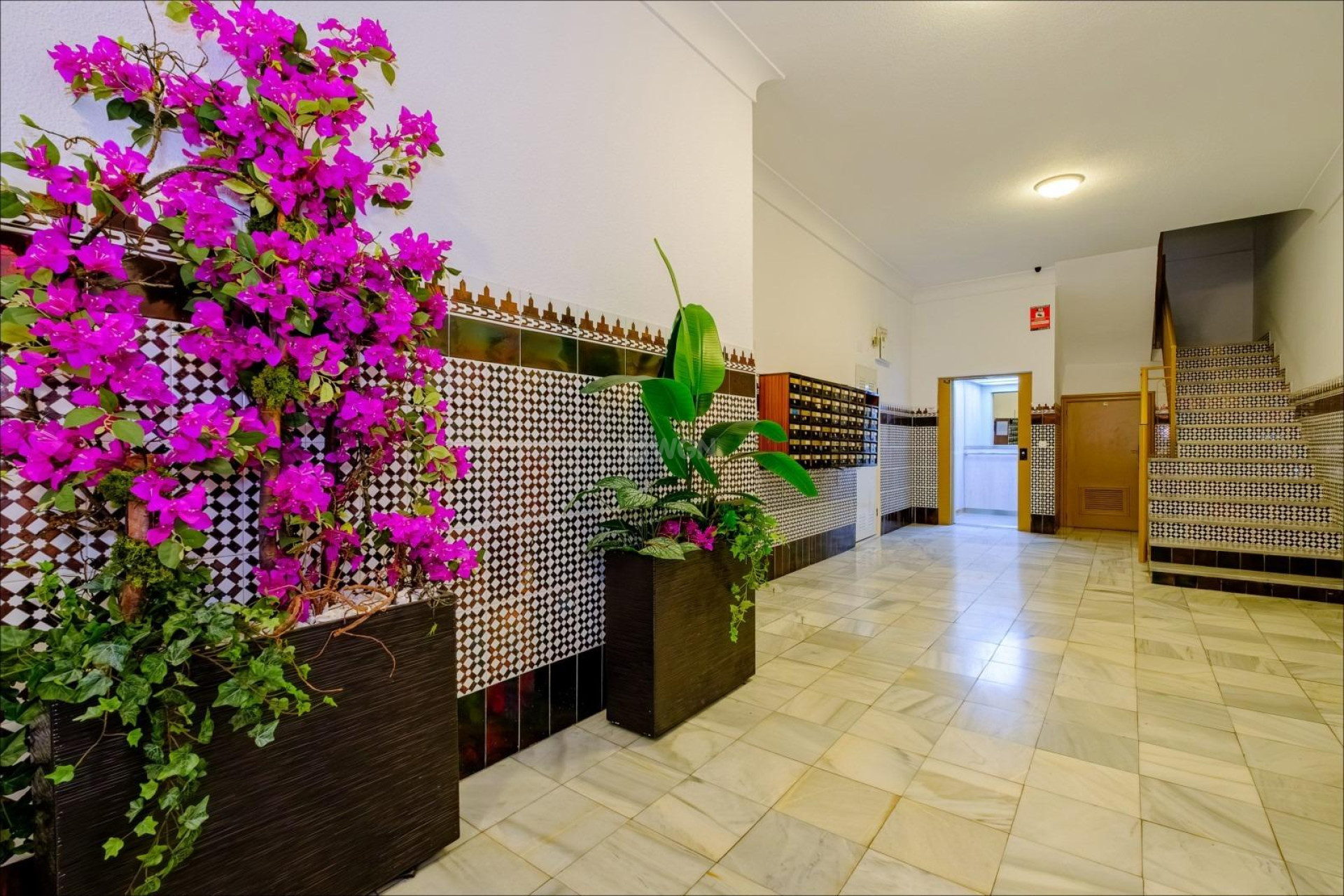 Odsprzedaż - Mieszkanie w bloku - Torrevieja - Playa del Cura
