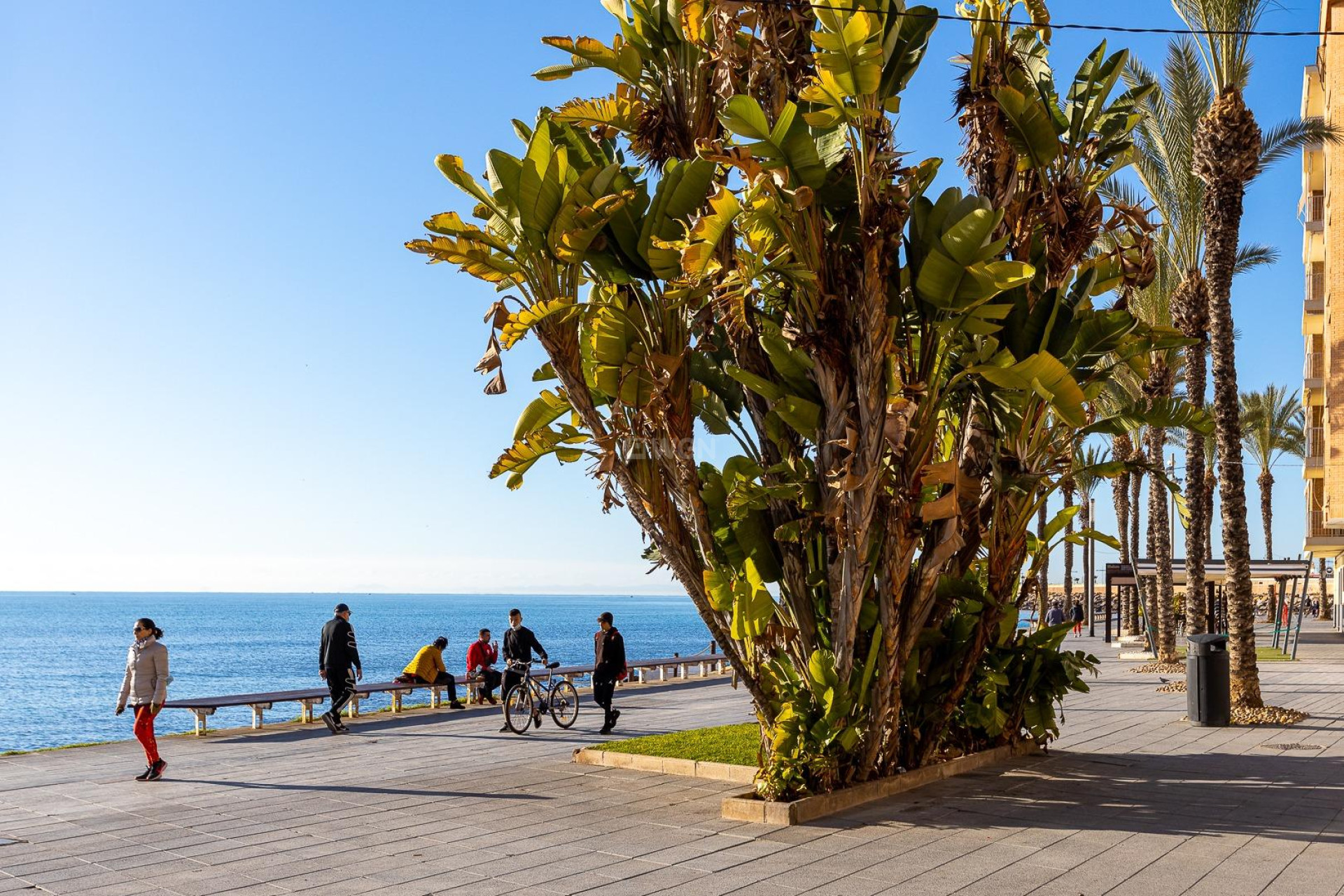 Odsprzedaż - Mieszkanie w bloku - Torrevieja - Playa del Cura