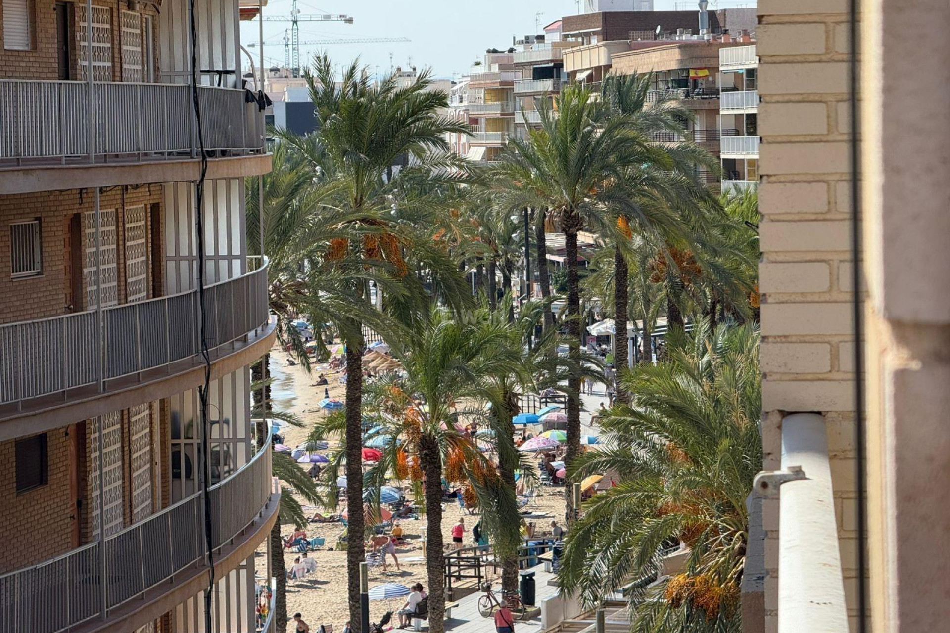 Odsprzedaż - Mieszkanie w bloku - Torrevieja - Playa del Cura