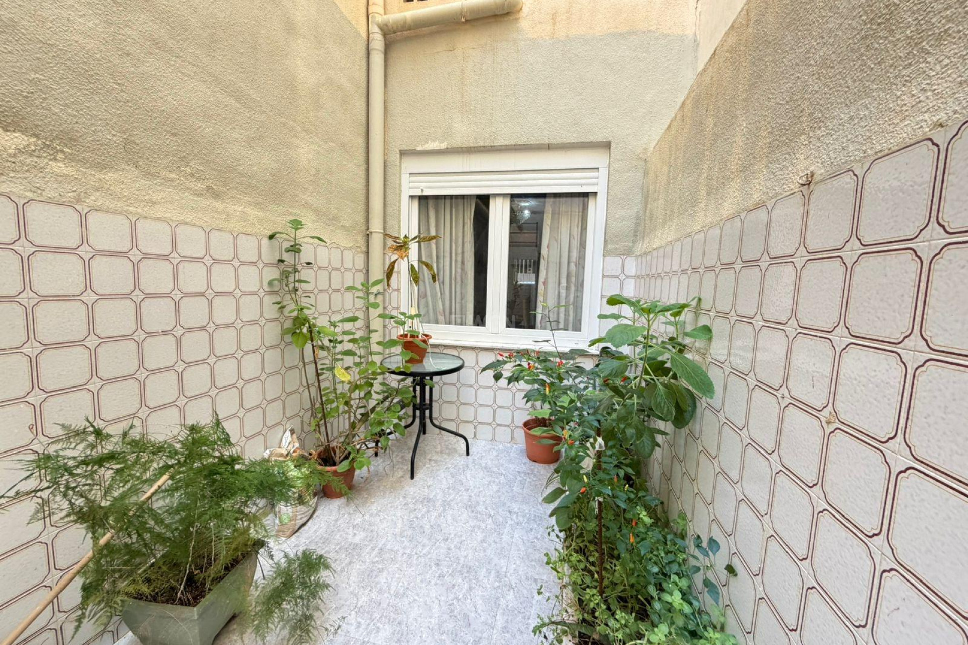 Odsprzedaż - Mieszkanie w bloku - Torrevieja - Playa del Cura