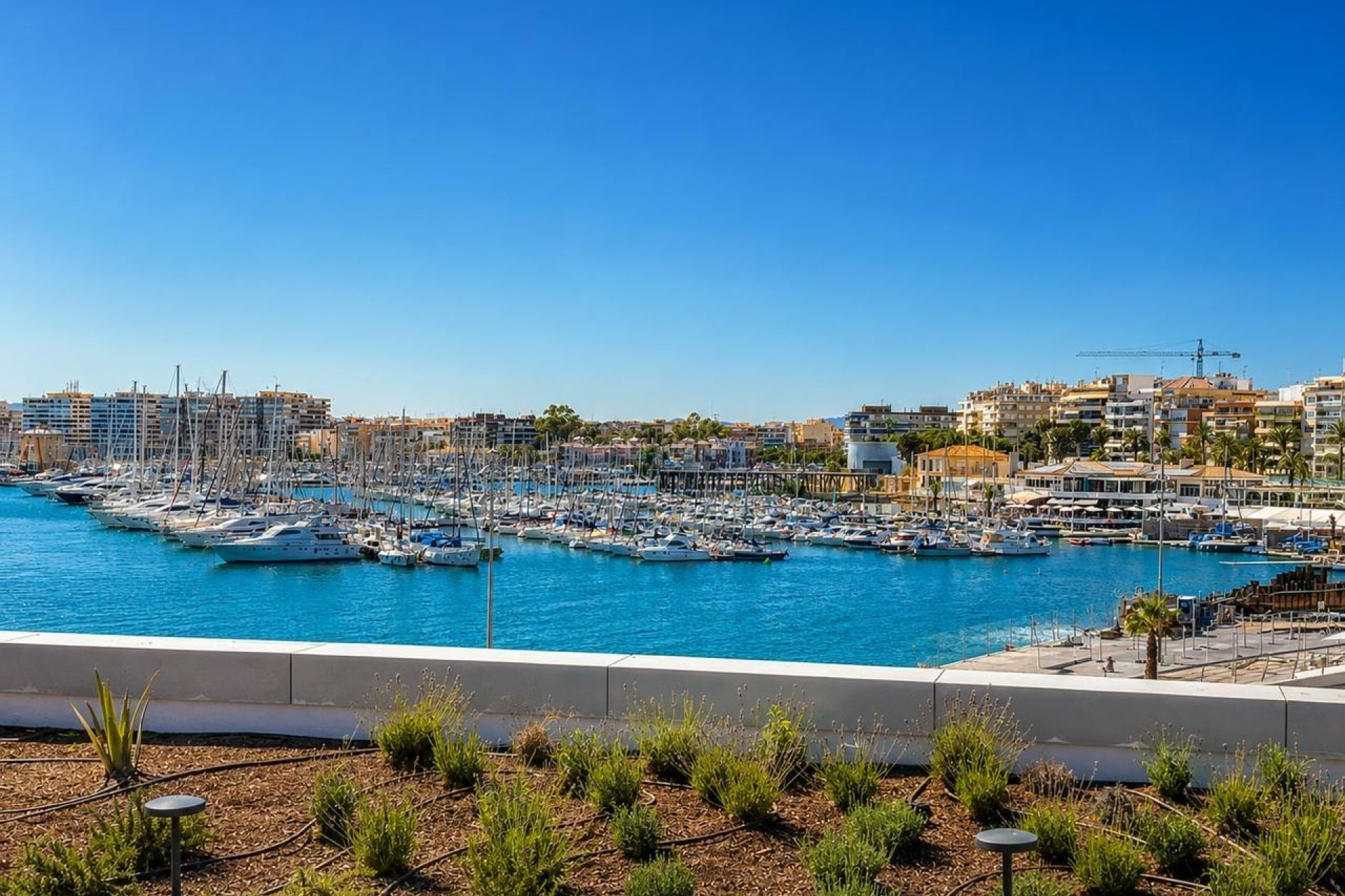 Odsprzedaż - Mieszkanie w bloku - Torrevieja - Playa del Cura