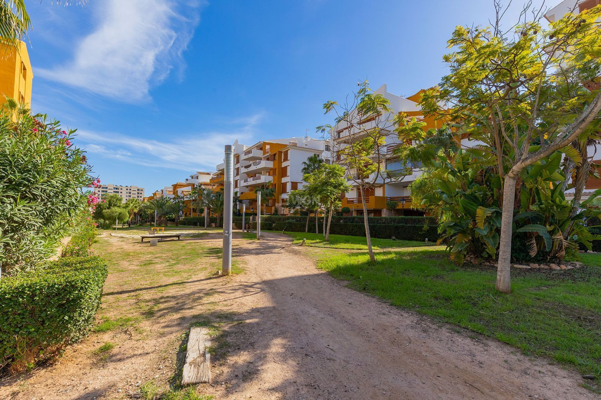 Odsprzedaż - Mieszkanie w bloku - Torrevieja - Punta Prima