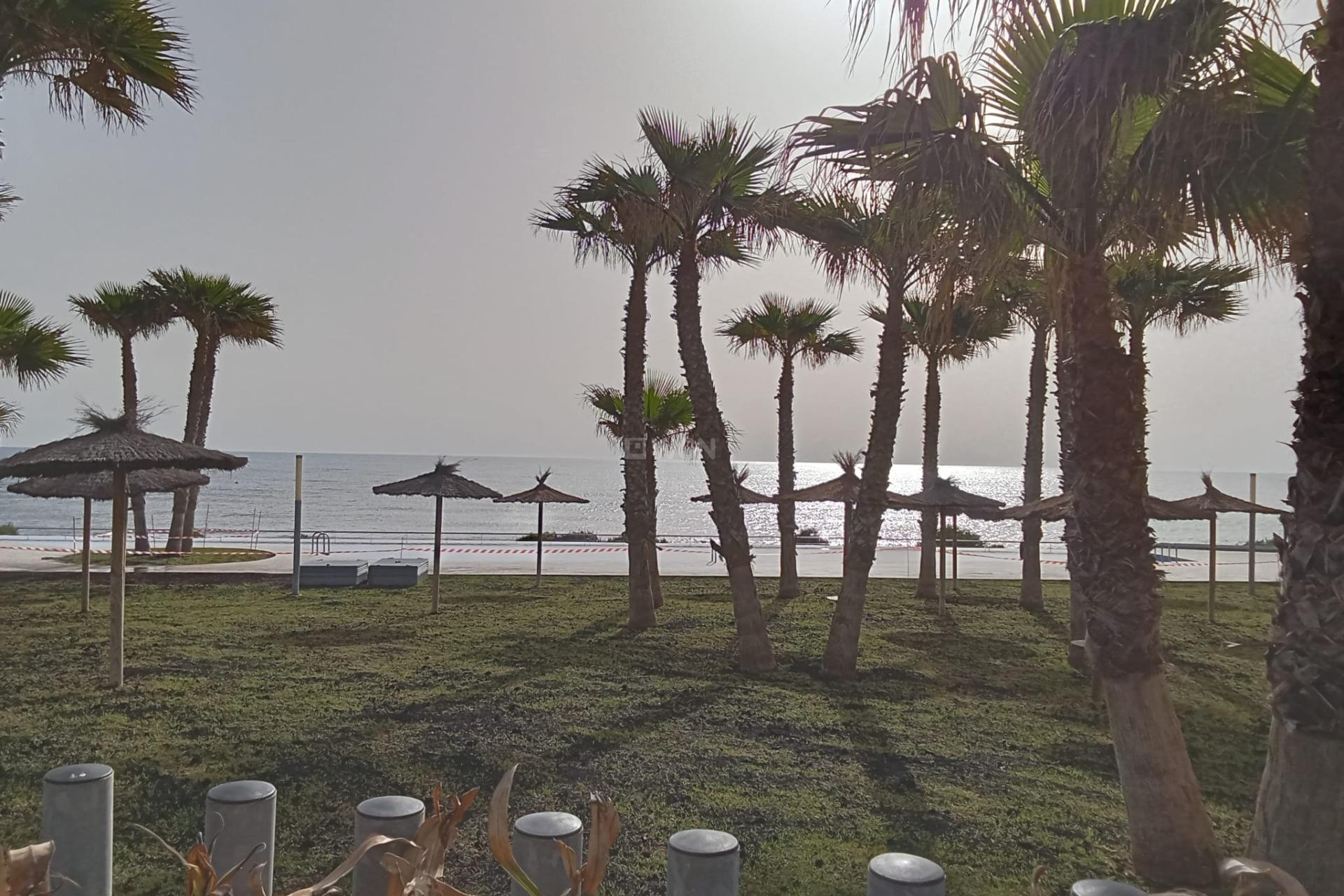 Odsprzedaż - Mieszkanie w bloku - Torrevieja - Punta Prima