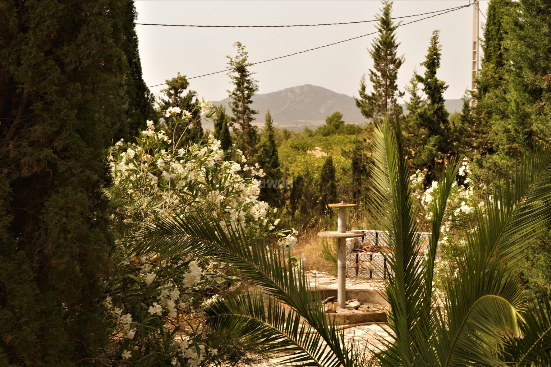 Odsprzedaż - Other - Salinas - Inland