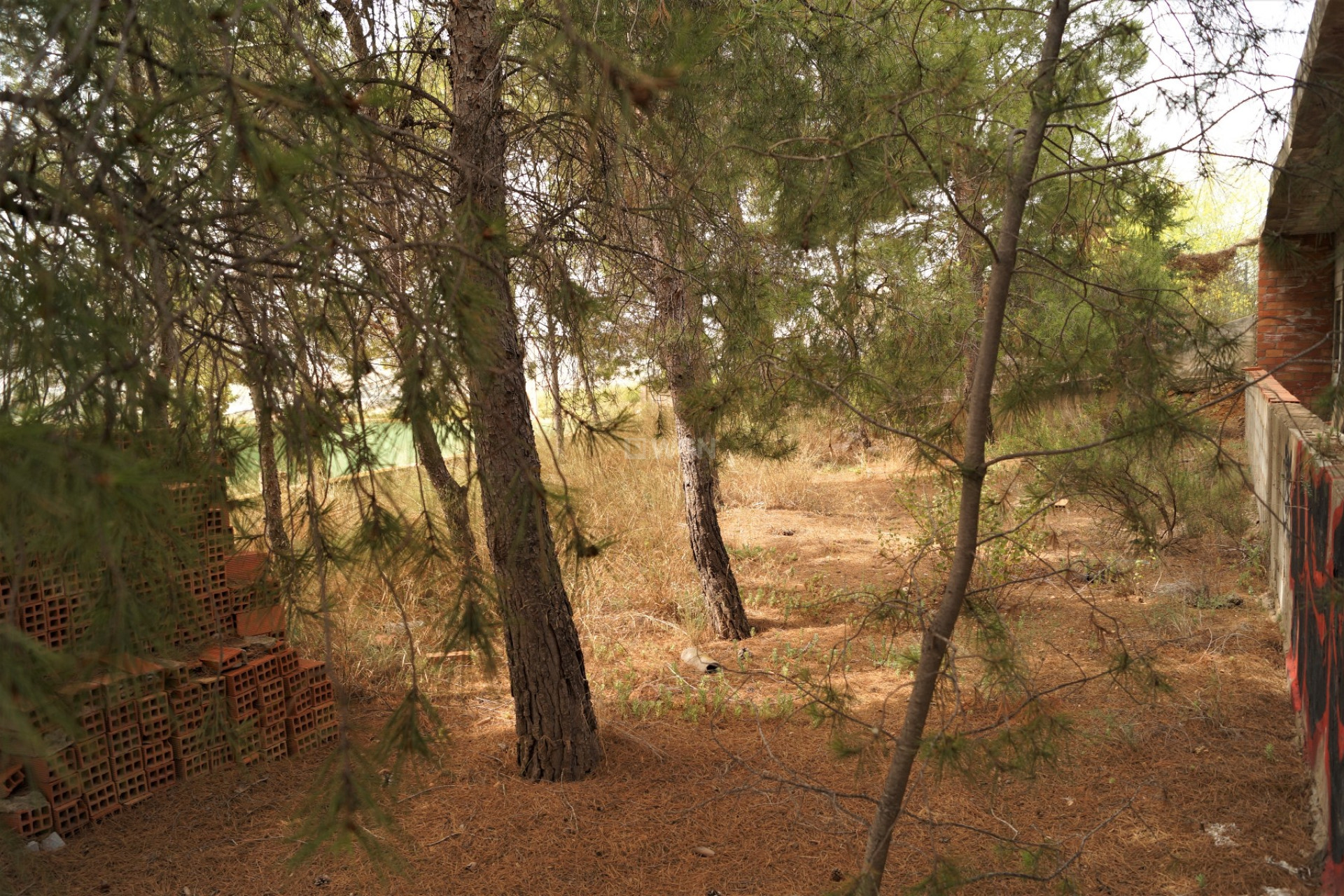 Odsprzedaż - Other - Salinas - Inland