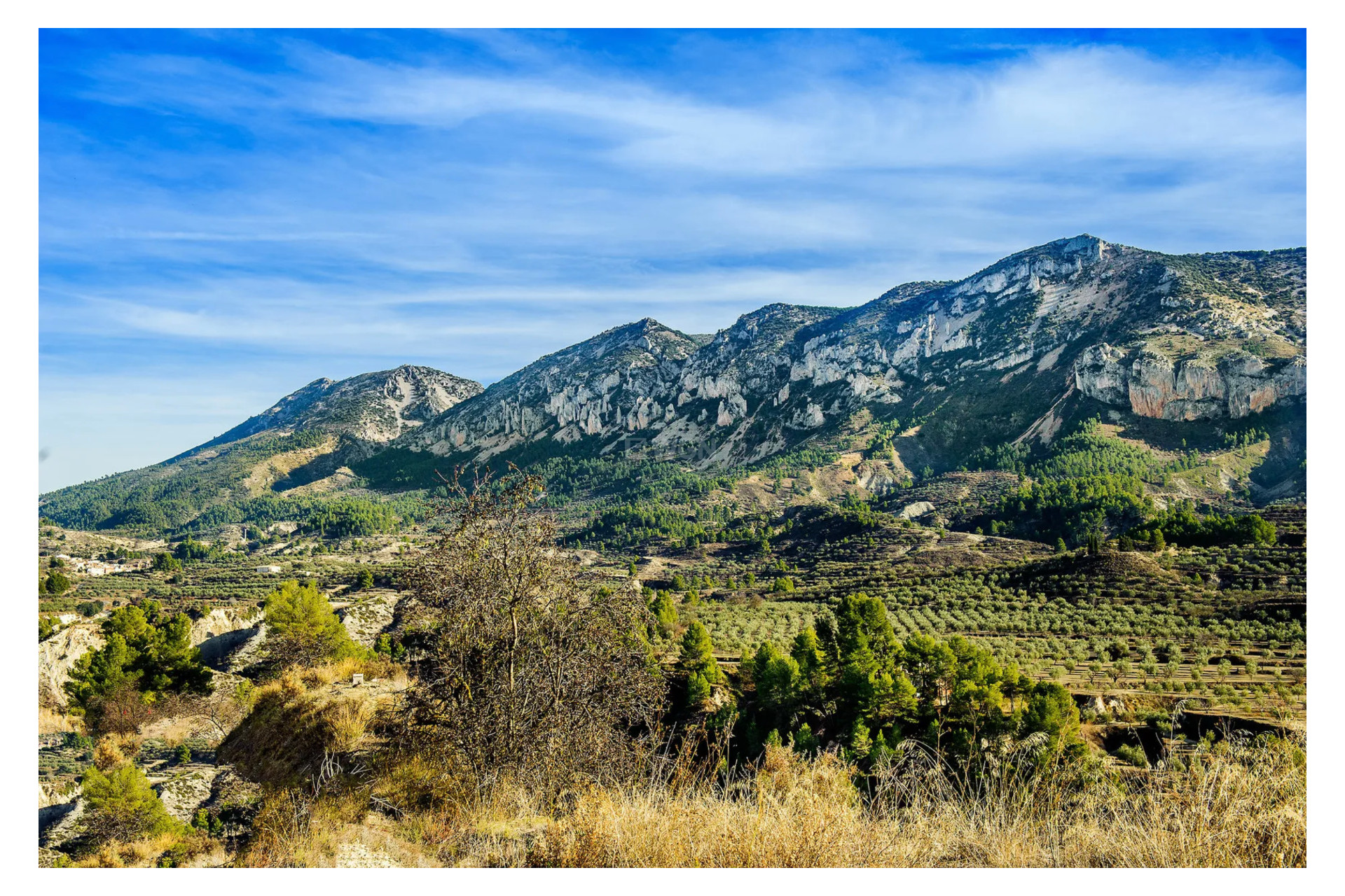 Odsprzedaż - Reklama w telewizji - Altea - Costa Blanca