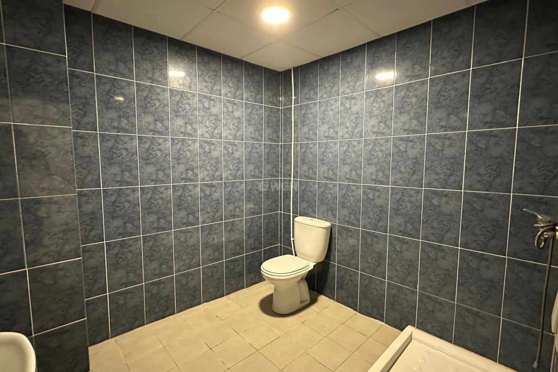 Odsprzedaż - Reklama w telewizji - Torrevieja - Paseo Maritimo