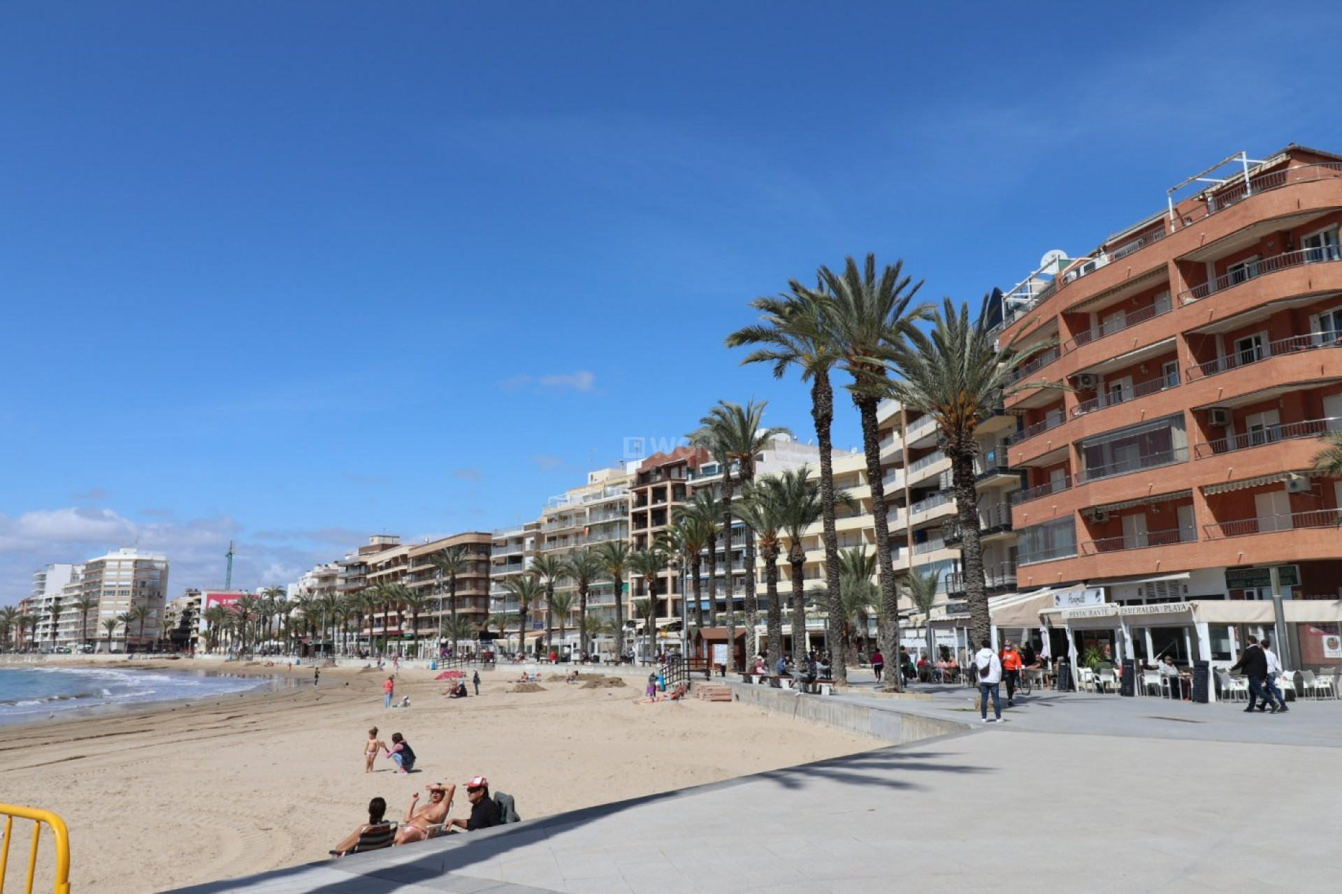 Odsprzedaż - Reklama w telewizji - Torrevieja - Playa del Cura