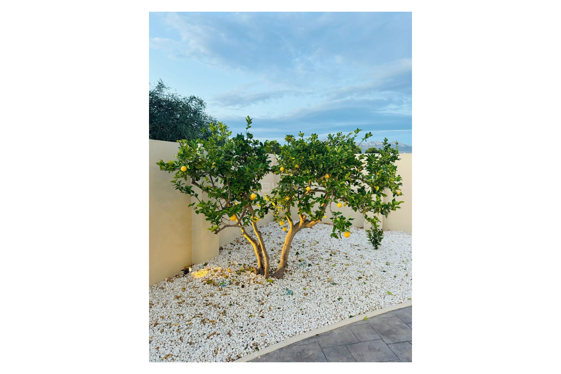 Odsprzedaż - Villa - Alfas del Pí - Costa Blanca