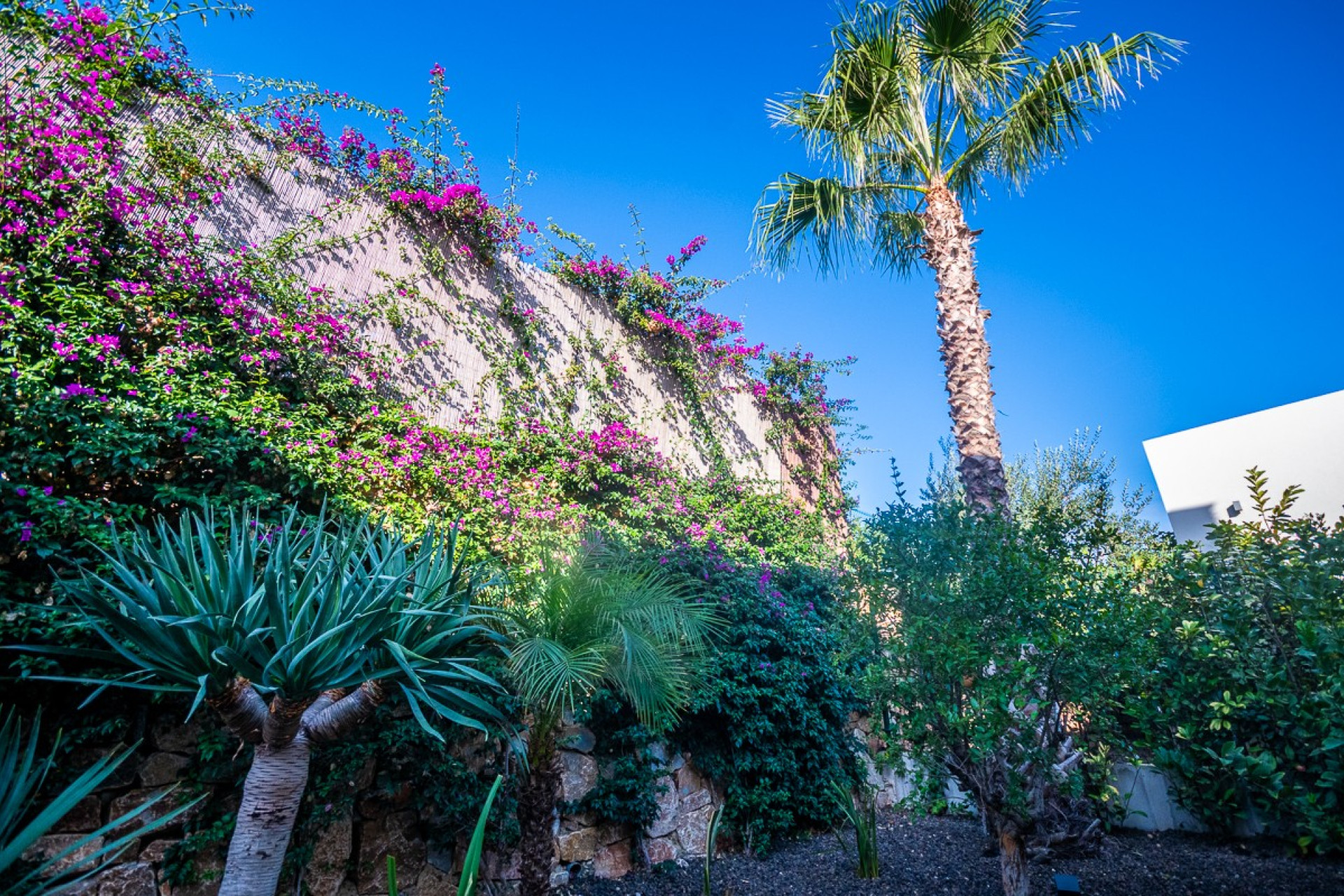 Odsprzedaż - Villa - Algorfa - Inland