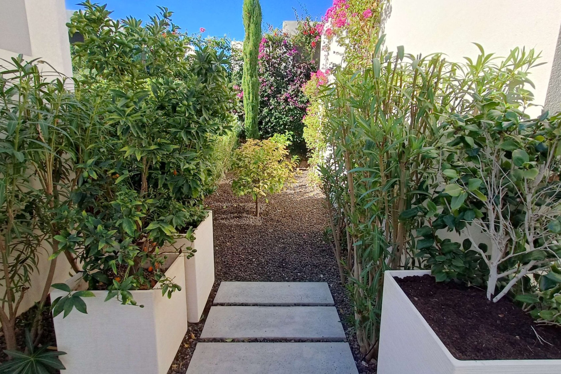 Odsprzedaż - Villa - Algorfa - Inland