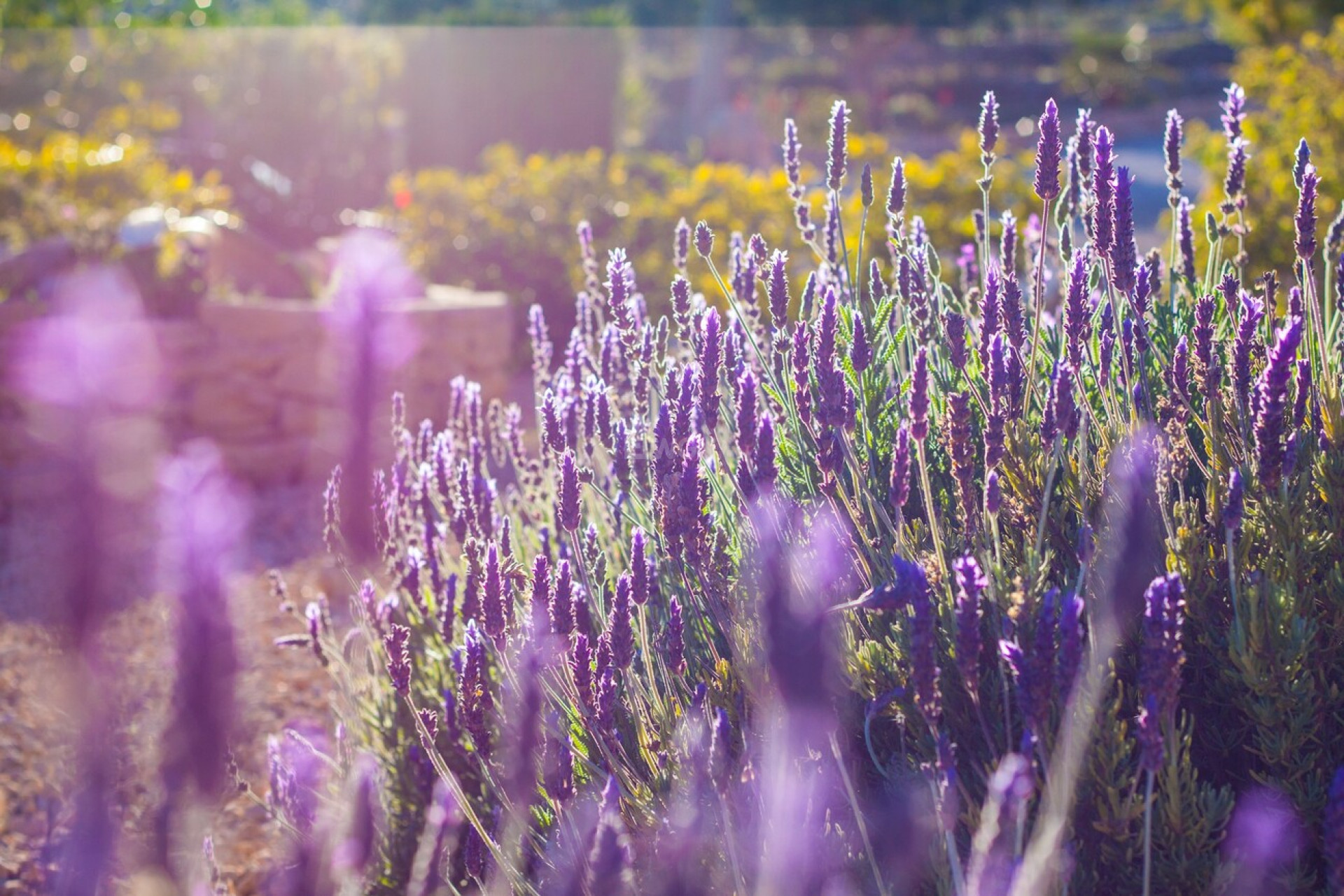 Odsprzedaż - Villa - Benissa - Costa Blanca