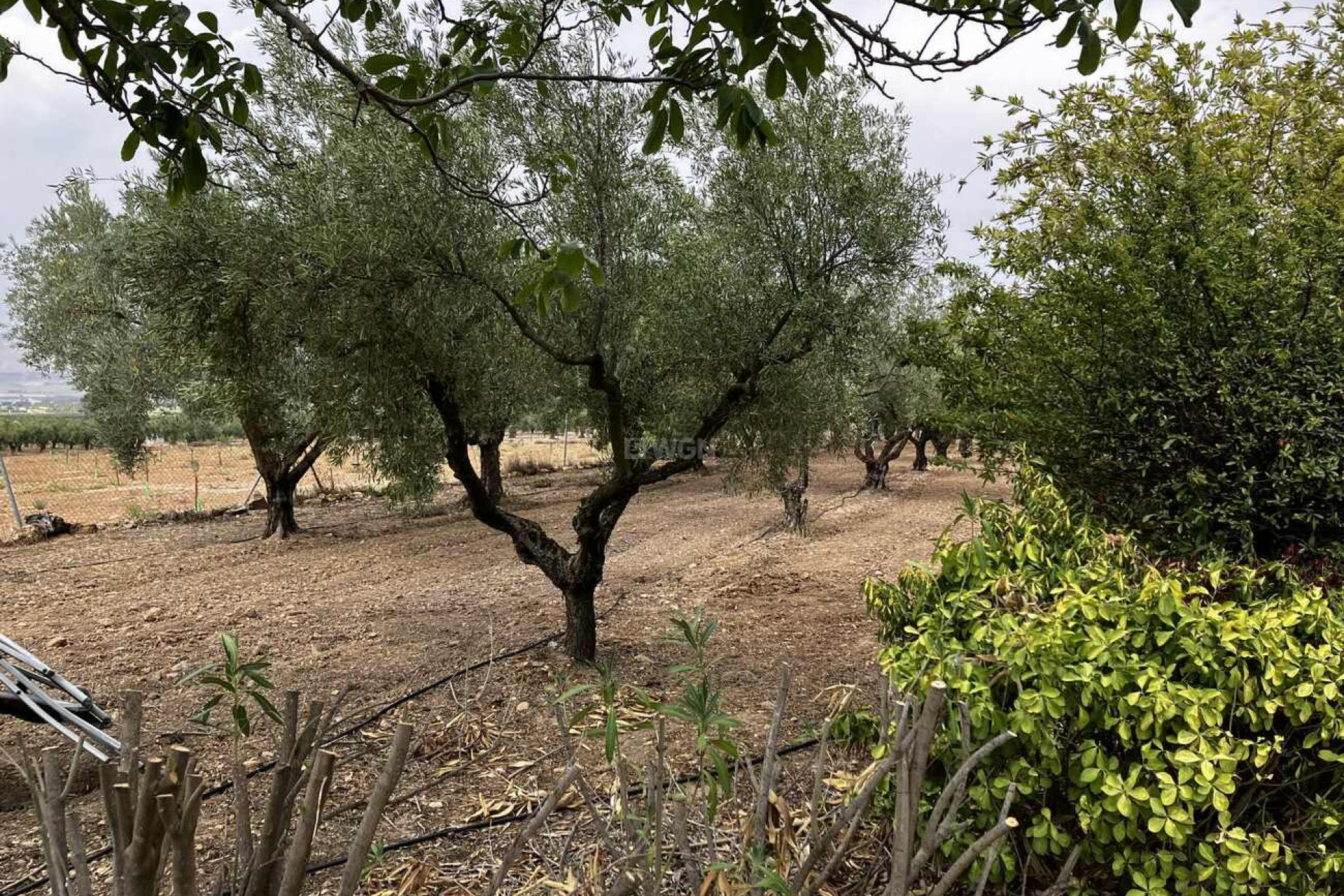 Odsprzedaż - Villa - Biar - Costa Blanca