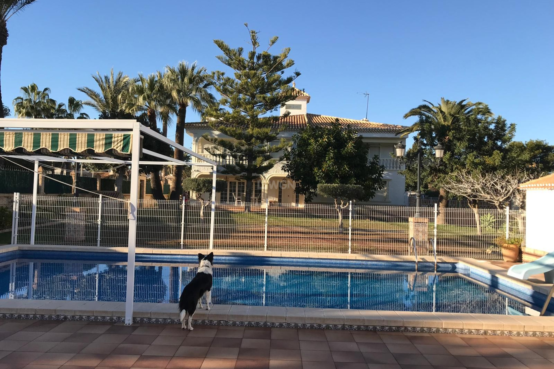 Odsprzedaż - Villa - Cabo Roig - Costa Blanca