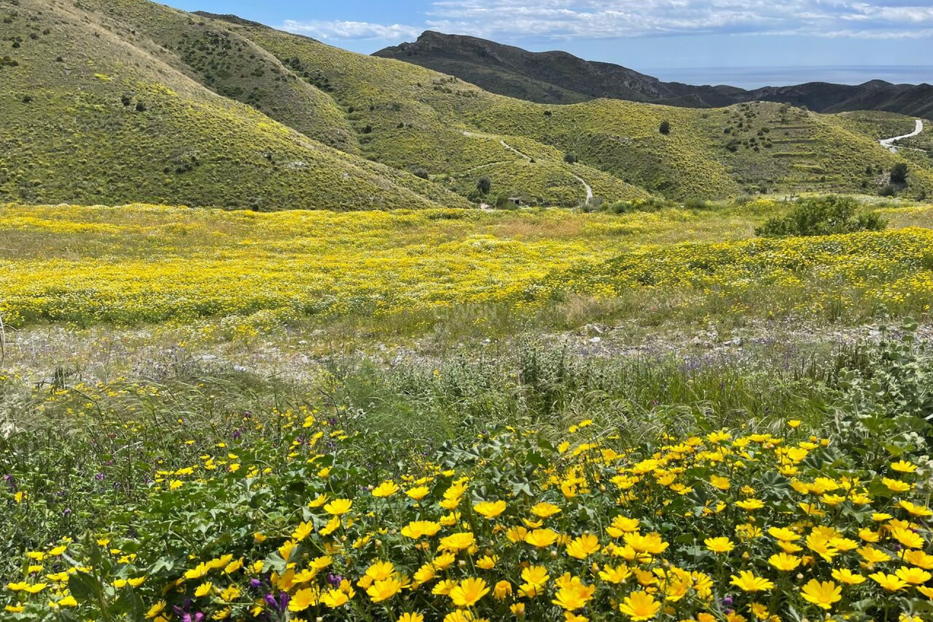Odsprzedaż - Villa - Cartagena - Costa Calida