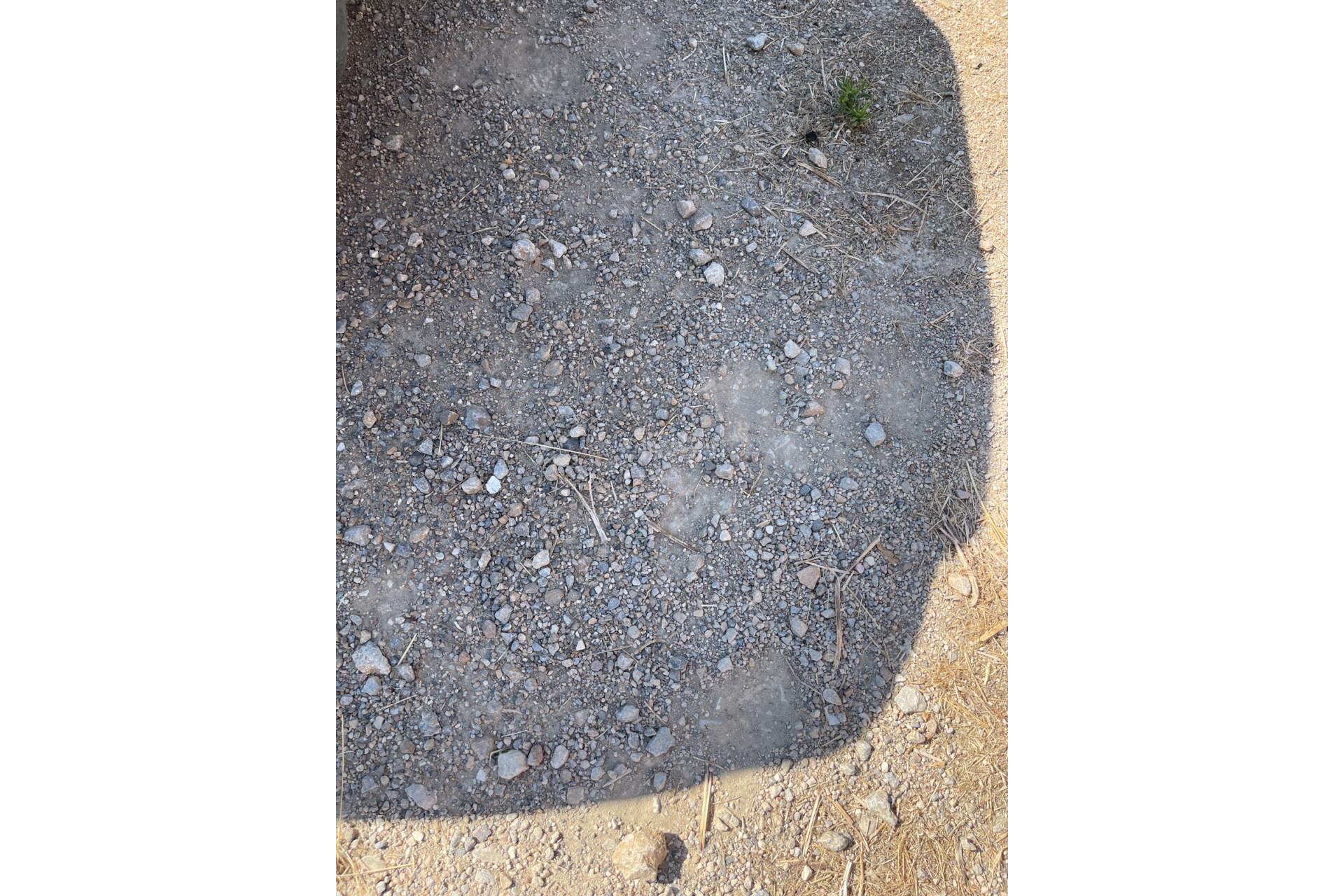 Odsprzedaż - Villa - Catral - Costa Blanca