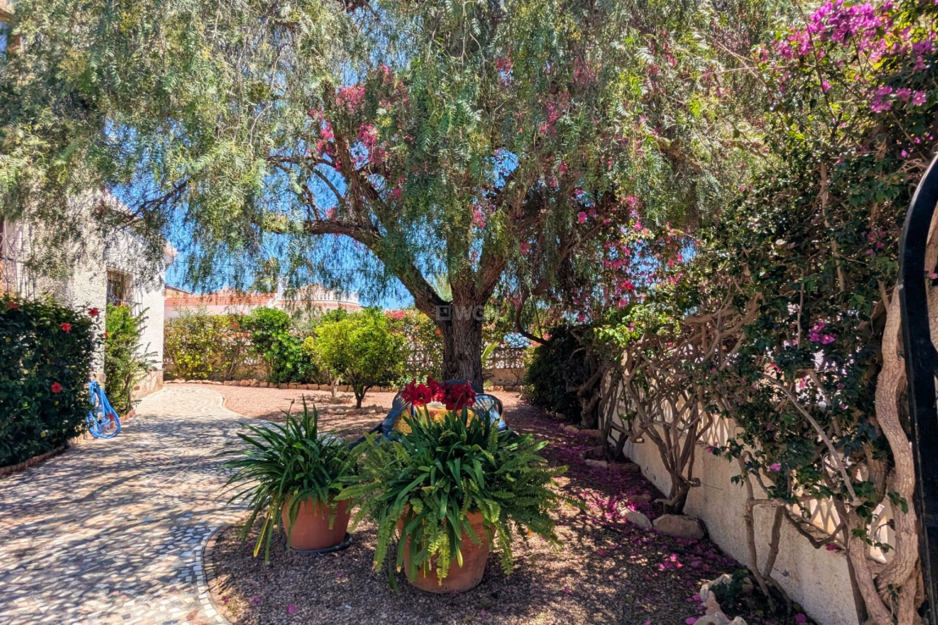 Odsprzedaż - Villa - Ciudad Quesada - Costa Blanca