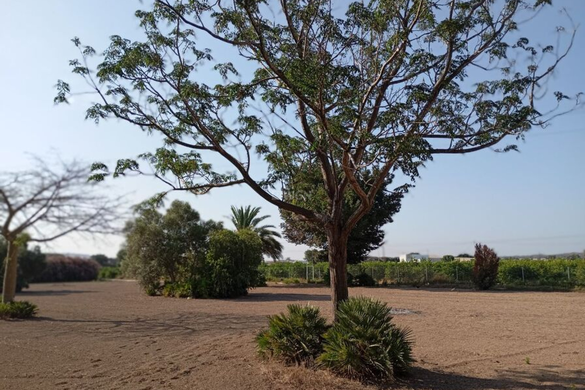 Odsprzedaż - Villa - Daya Nueva - Costa Blanca