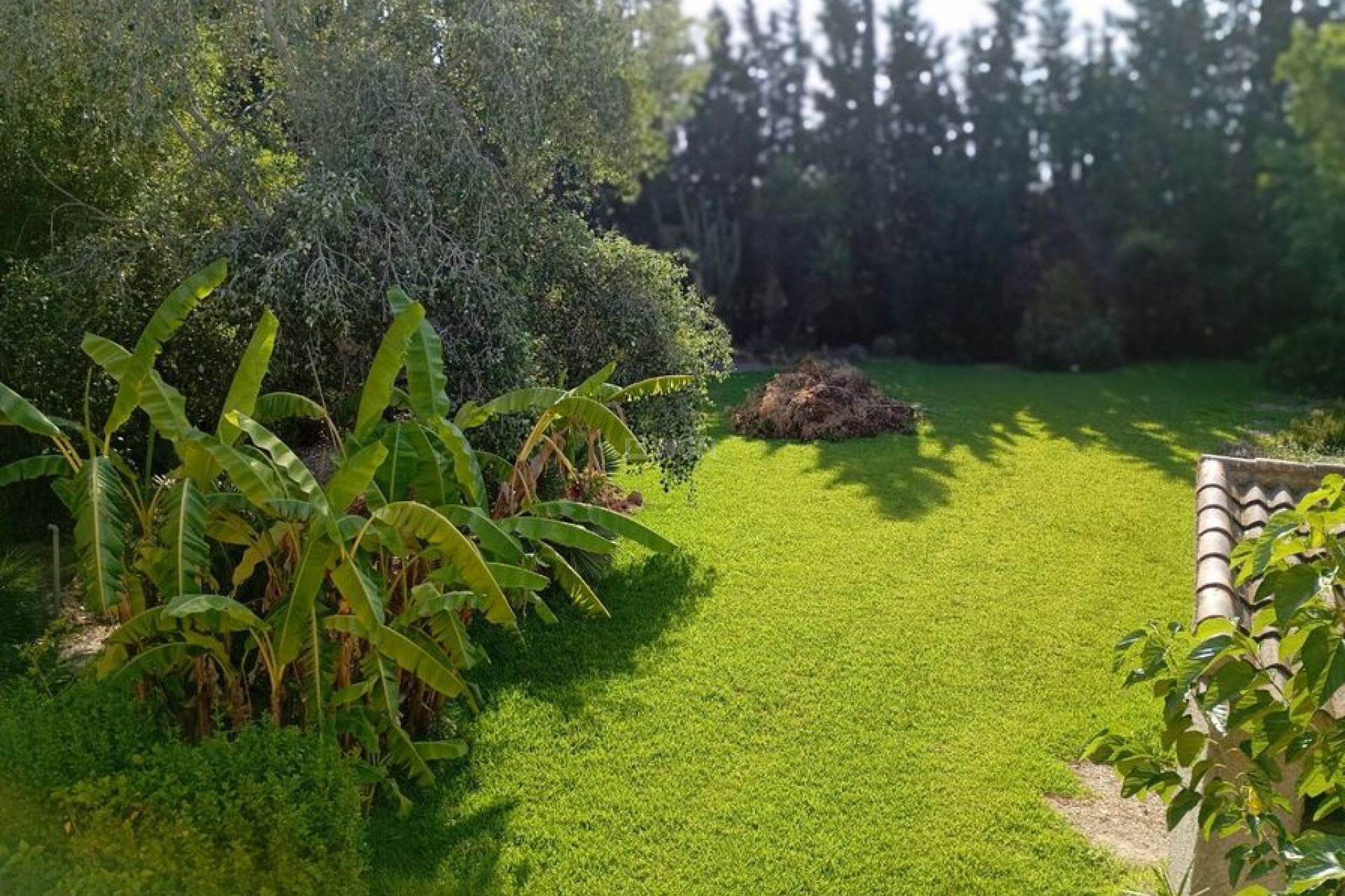 Odsprzedaż - Villa - Daya Nueva - Costa Blanca