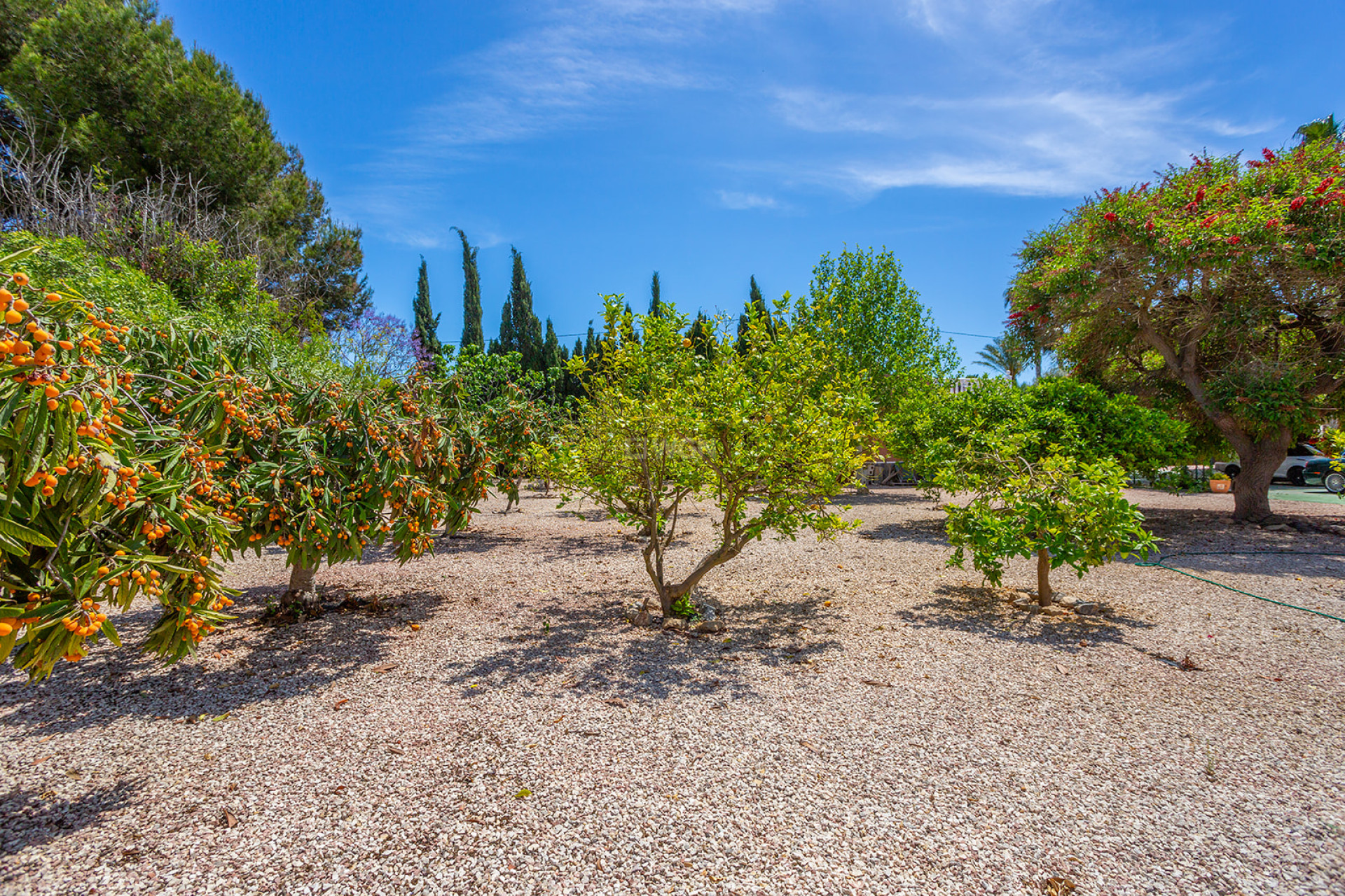 Odsprzedaż - Villa - Daya Vieja - Costa Blanca