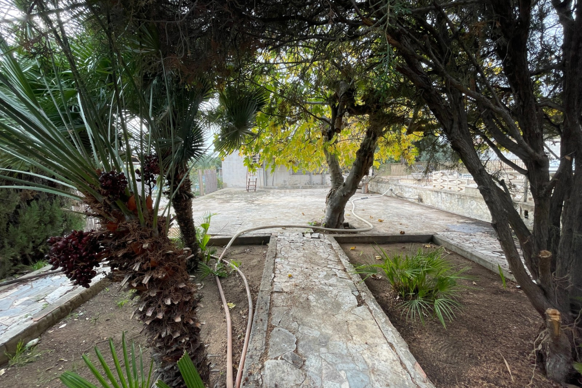 Odsprzedaż - Villa - Elche - Costa Blanca