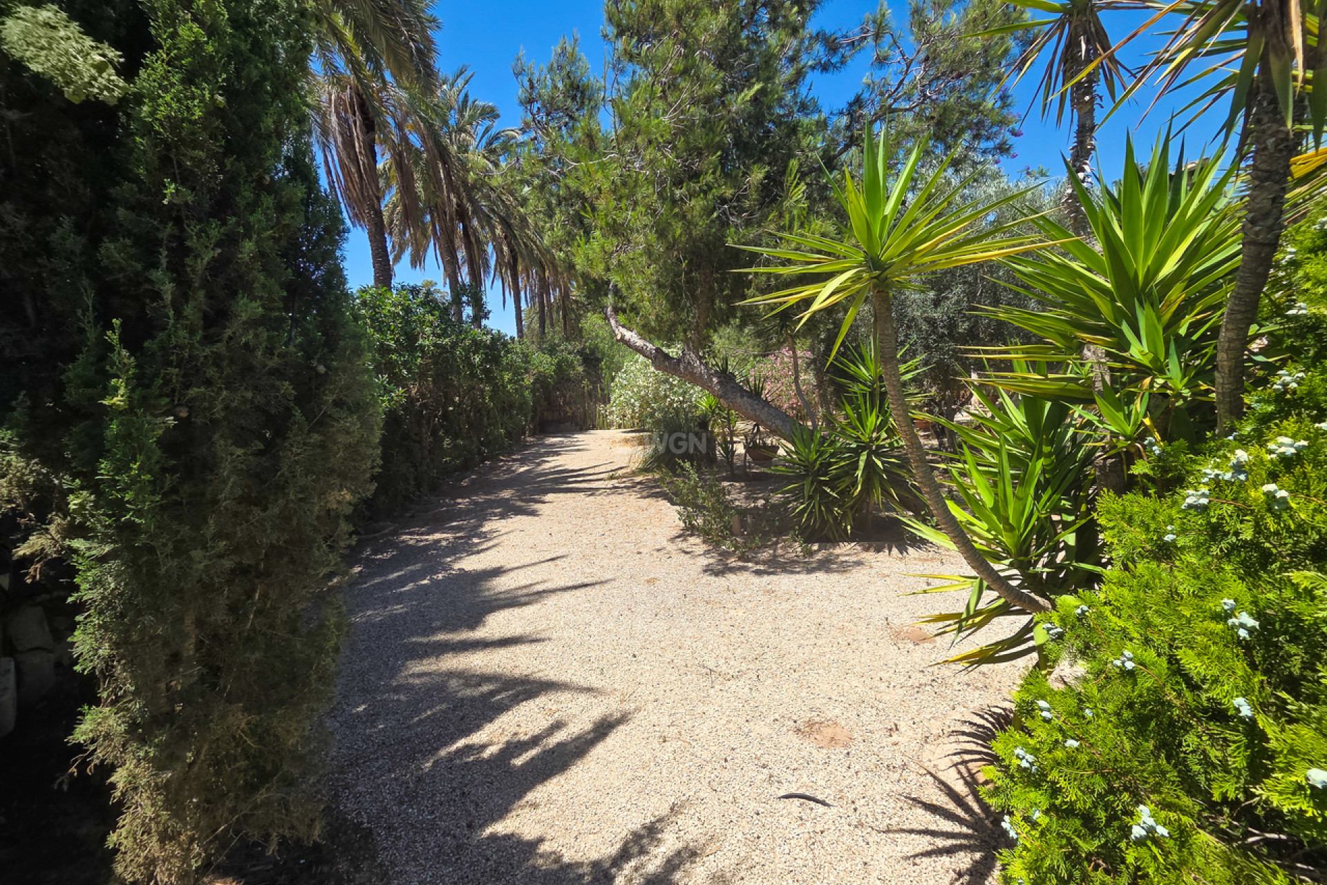 Odsprzedaż - Villa - Elche - Costa Blanca