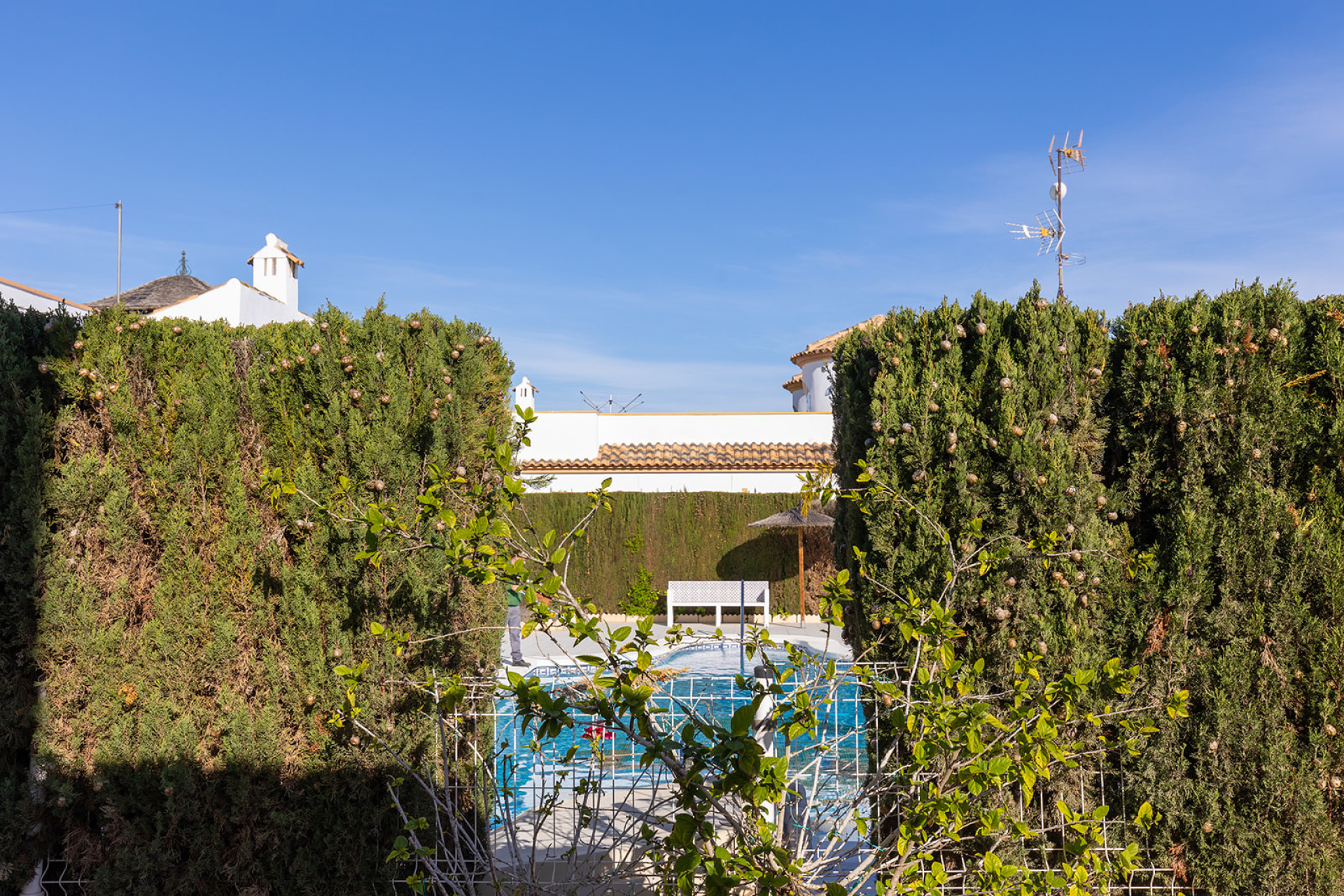 Odsprzedaż - Villa - Guardamar del Segura - Costa Blanca