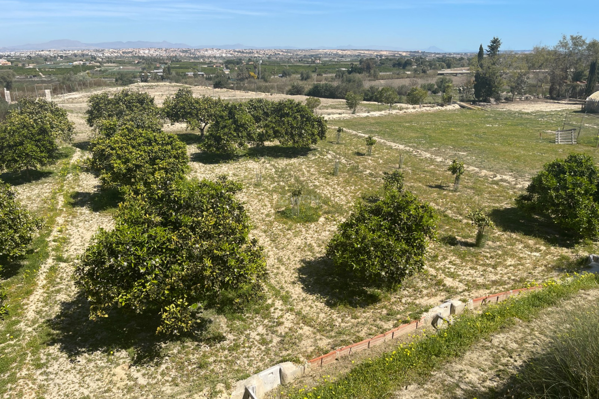 Odsprzedaż - Villa - Guardamar del Segura - Costa Blanca