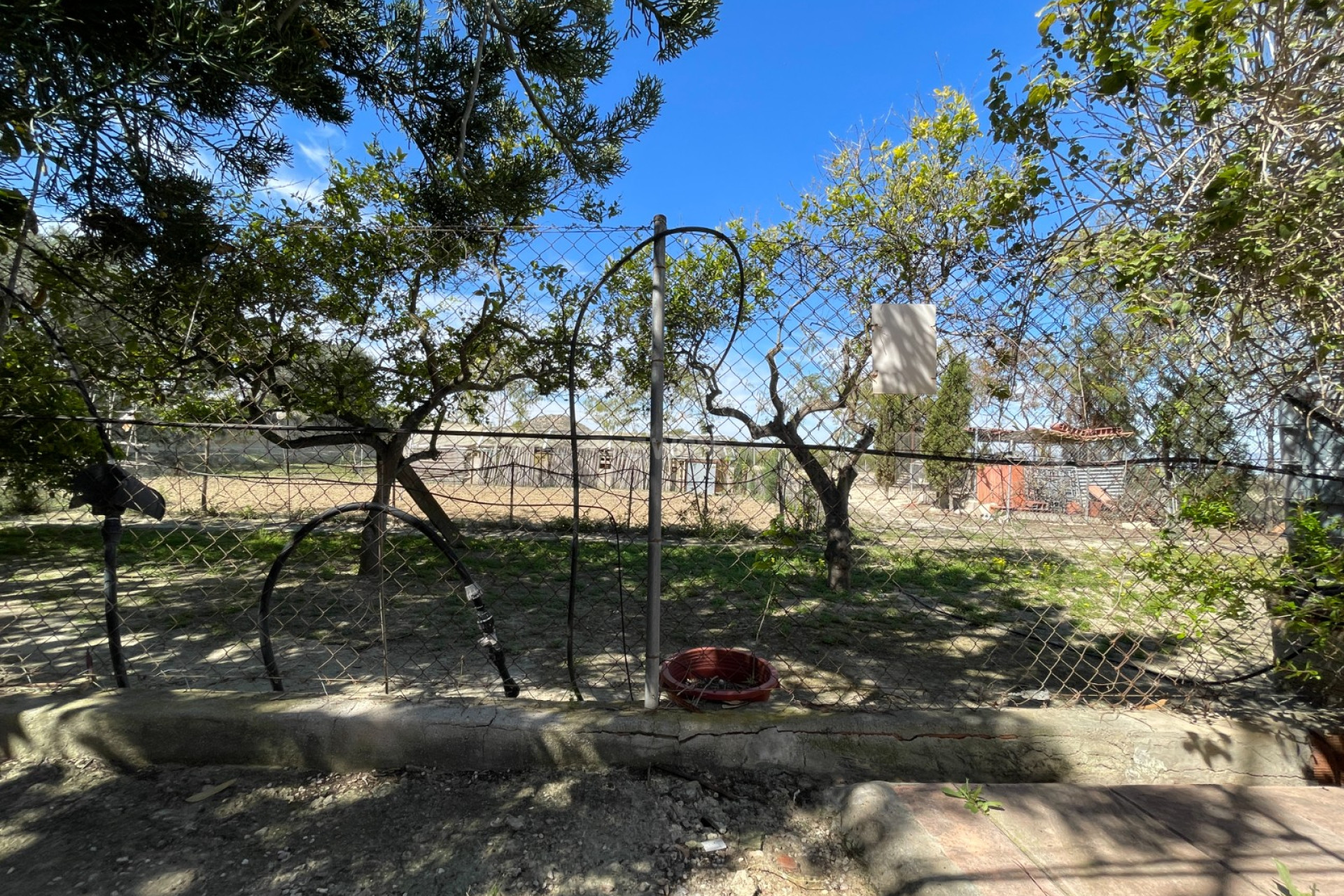 Odsprzedaż - Villa - Guardamar del Segura - Costa Blanca