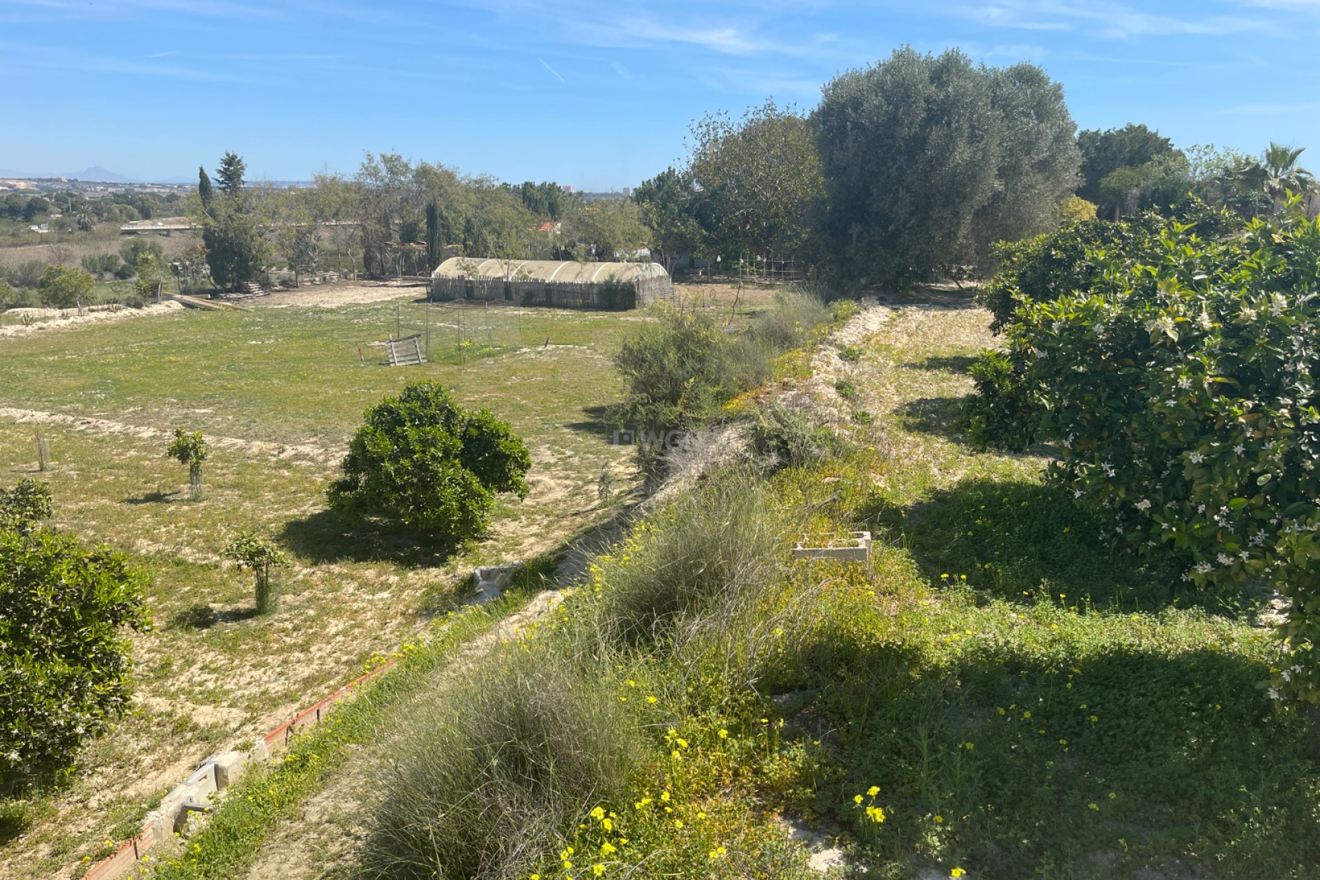 Odsprzedaż - Villa - Guardamar del Segura - Costa Blanca