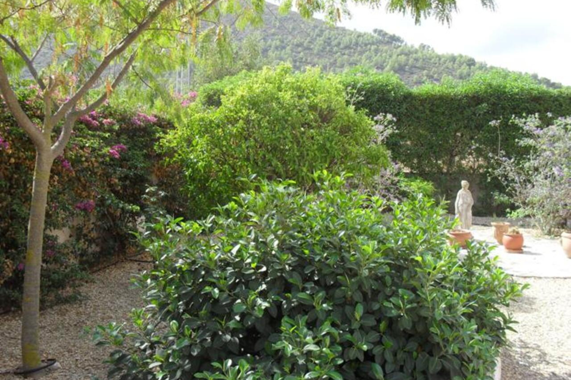 Odsprzedaż - Villa - Jalón - Inland