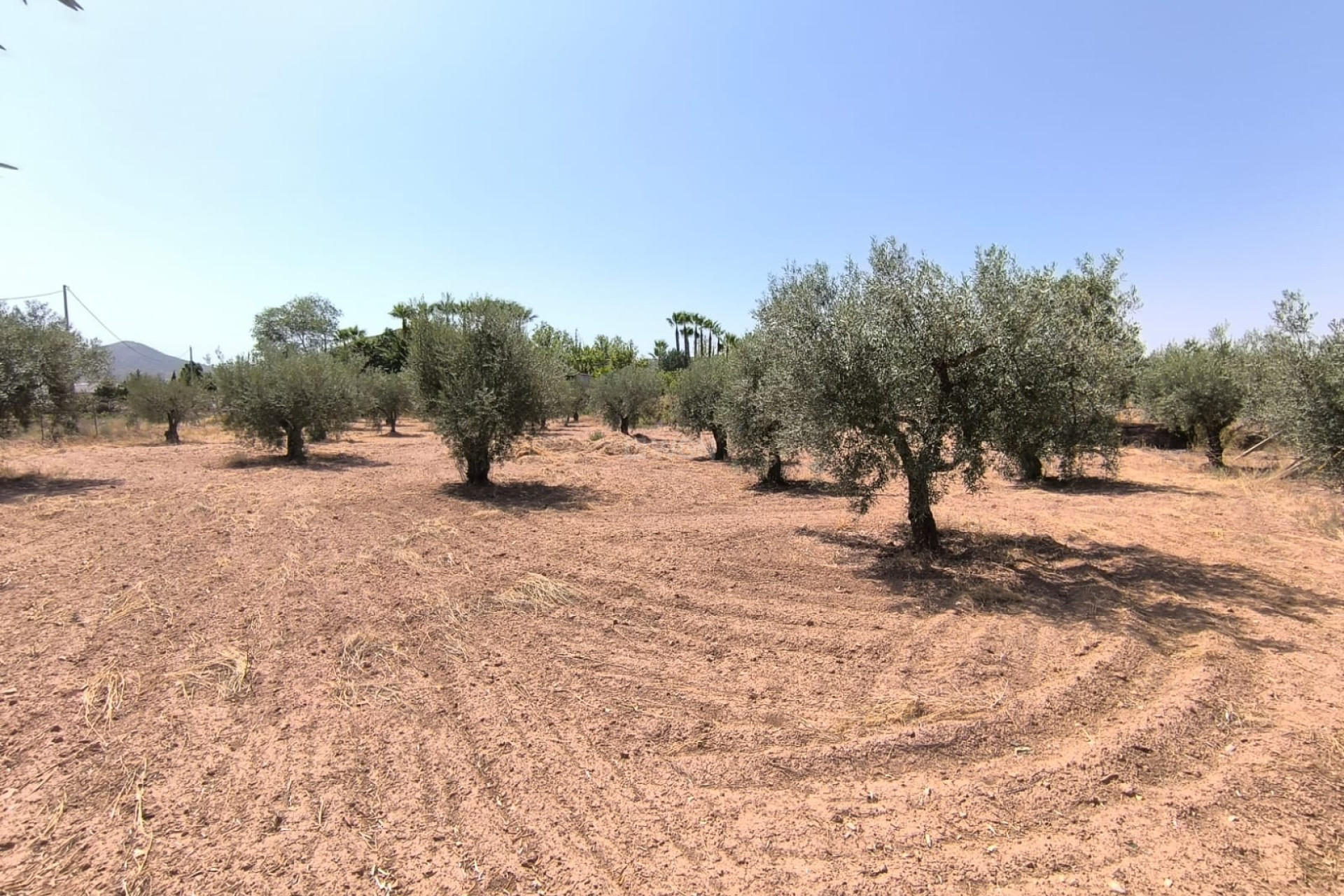 Odsprzedaż - Villa - Jumilla - Inland