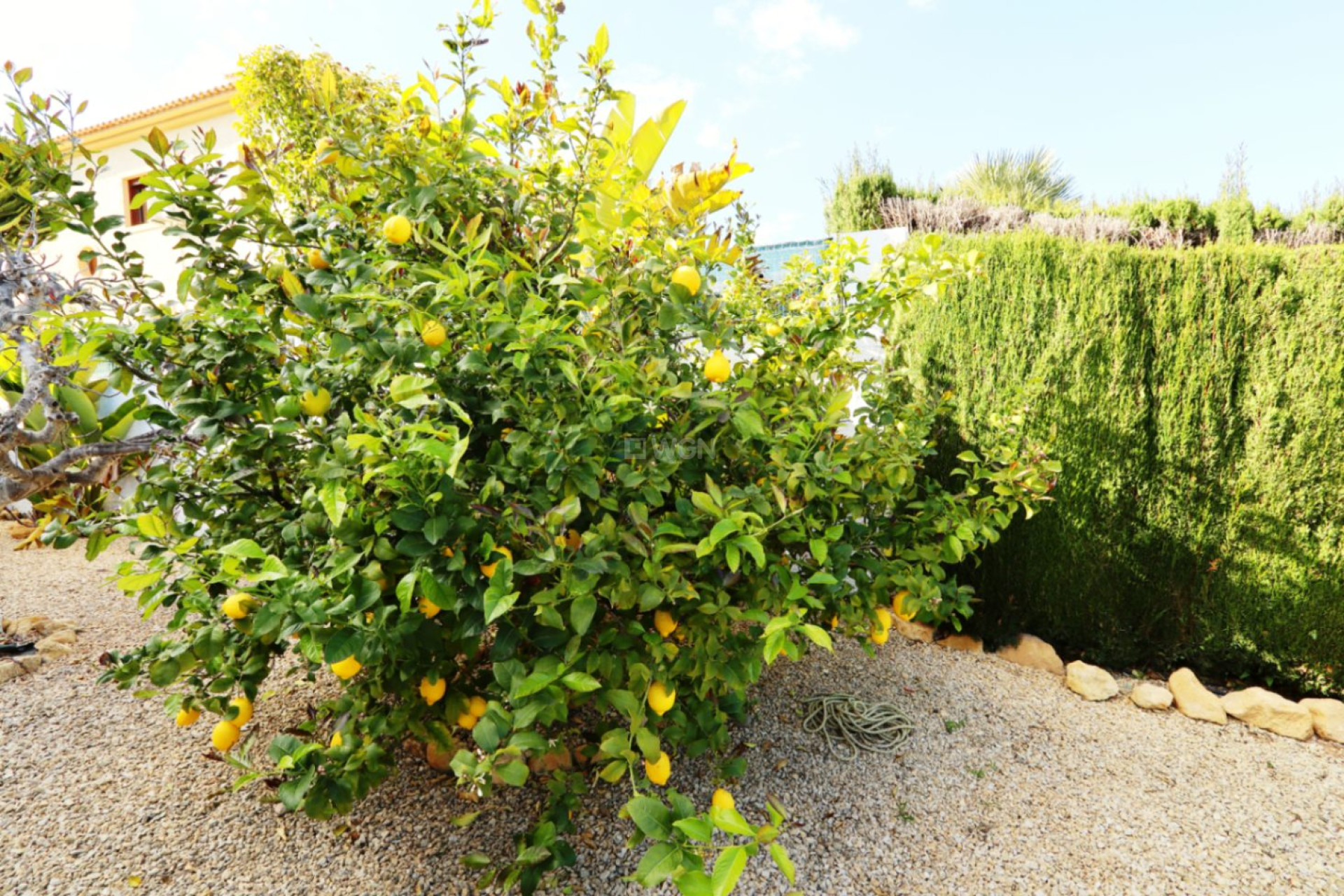 Odsprzedaż - Villa - La Nucía - Costa Blanca