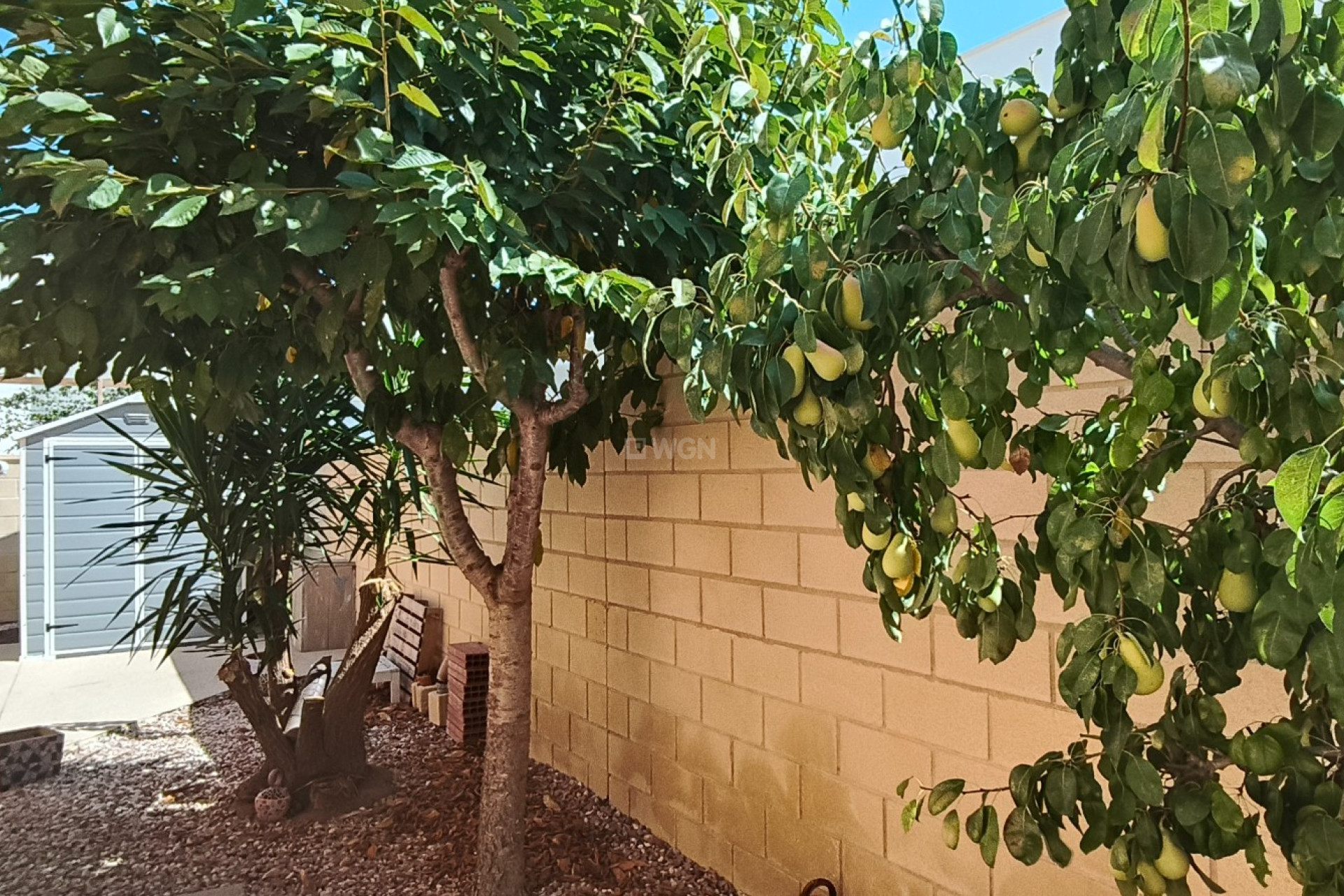 Odsprzedaż - Villa - La Romana - Inland